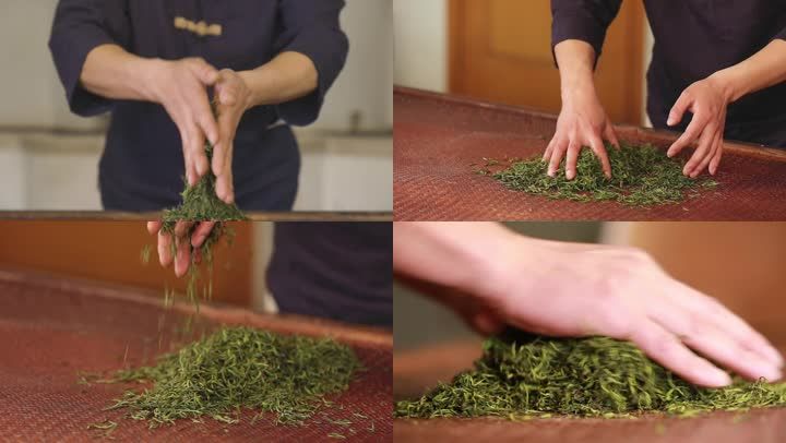 揉捻茶叶制作过程