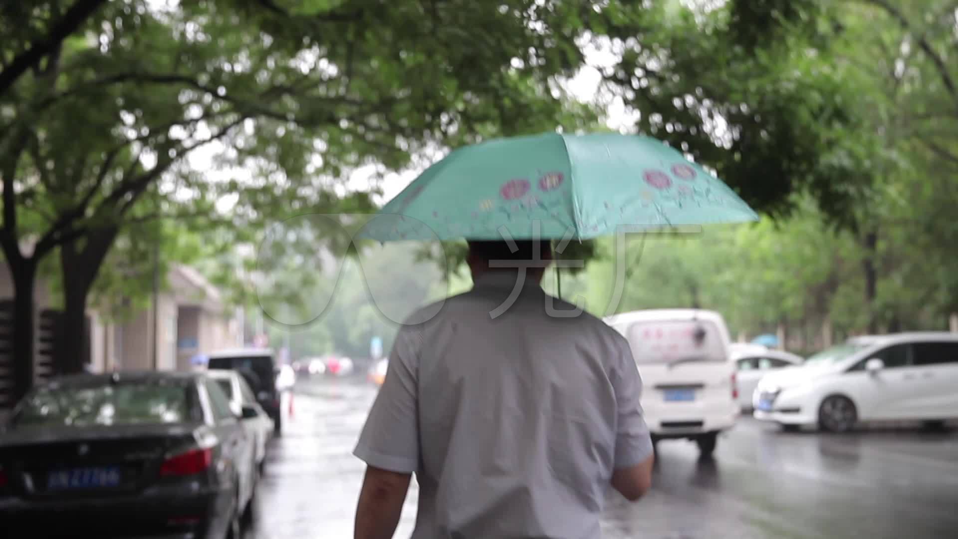 雨天打伞走路的男人_1920x1080_高清视频素材下载(:)