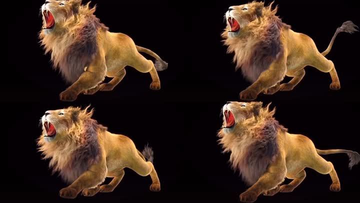 动物狮子嘶吼素材高清动物动作片头素材高清制作转场片头背景片尾特效