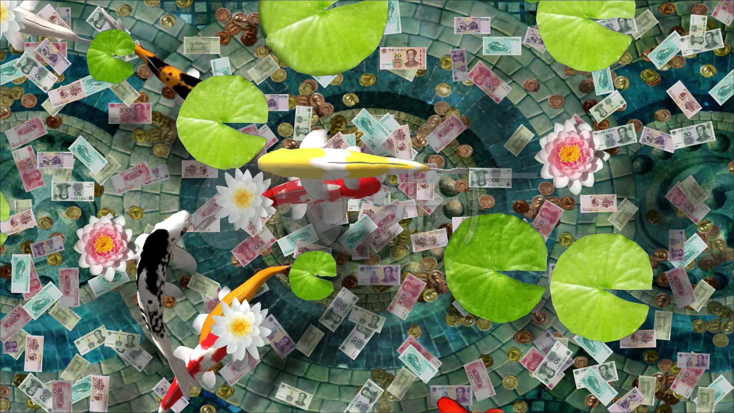 2k锦鲤许愿池富贵路_2560x1440_高清视频素材下载(编号:4569458)_舞台