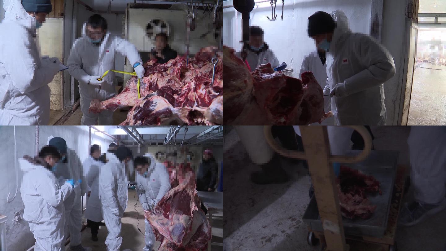 卫生防疫部门对屠宰场牛肉进行检测