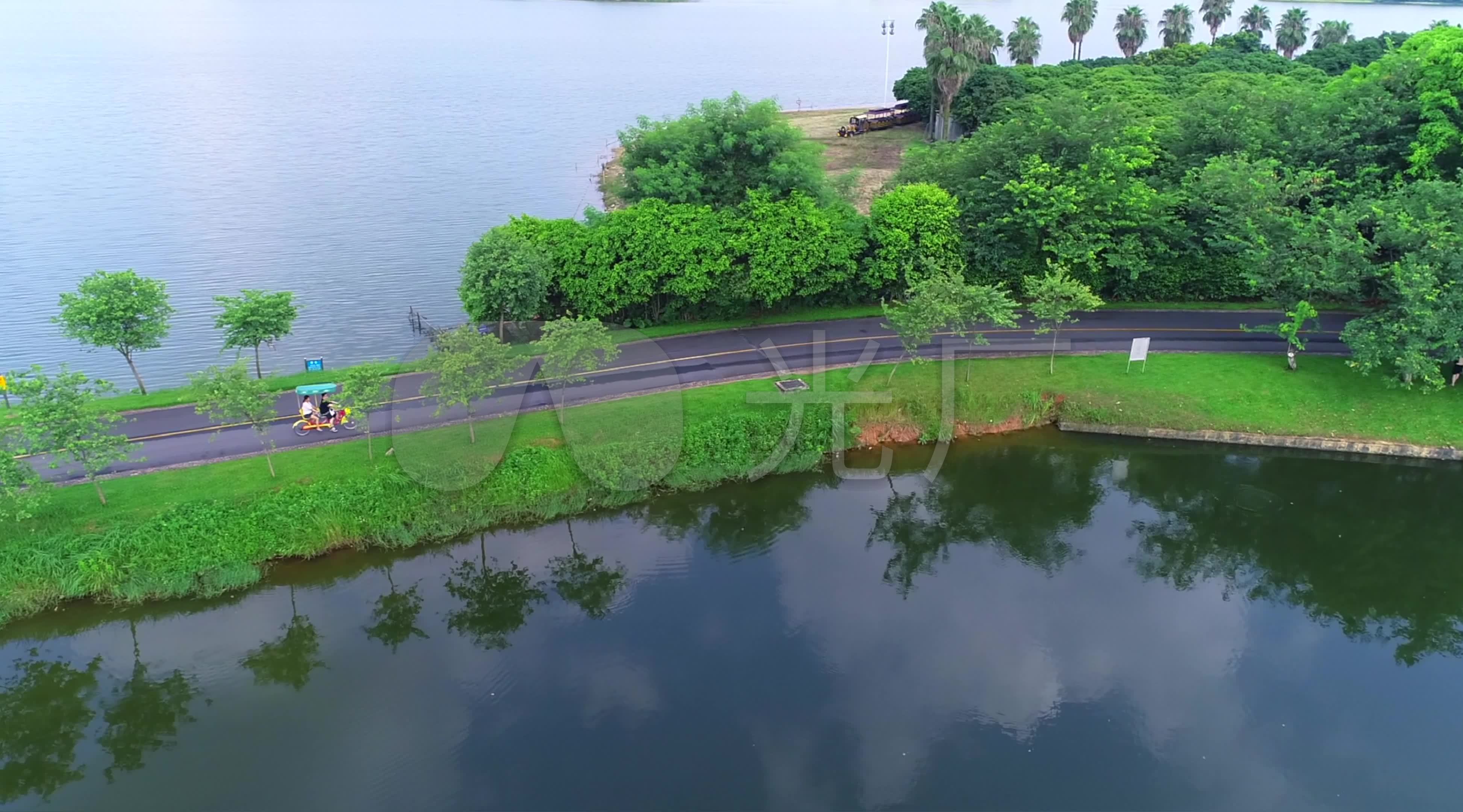 东莞松山湖湿地公园_3892x2160_高清视频素材下载(:)