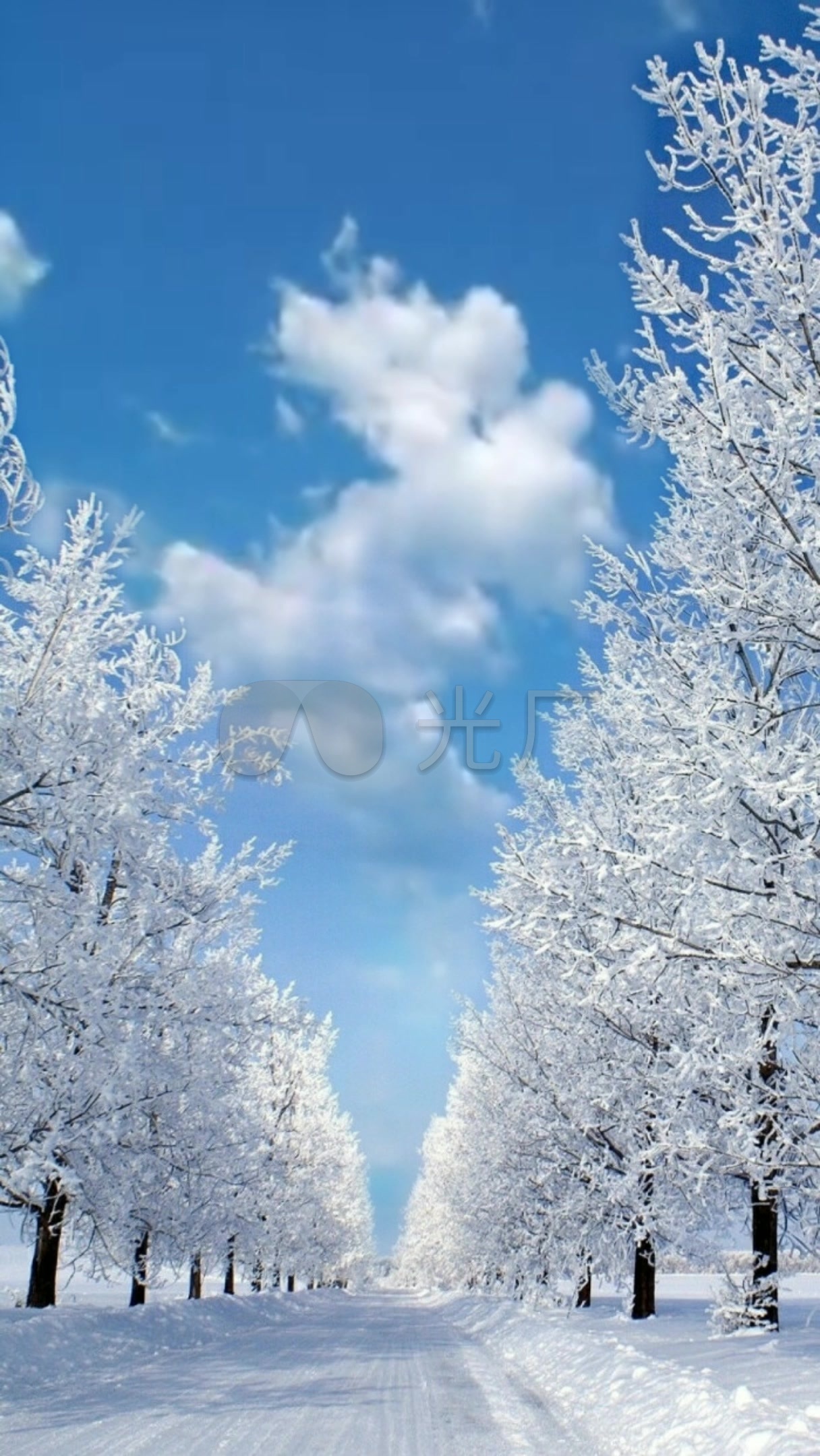 雪白世界_1216x2160_高清视频素材下载(编号:4611115)