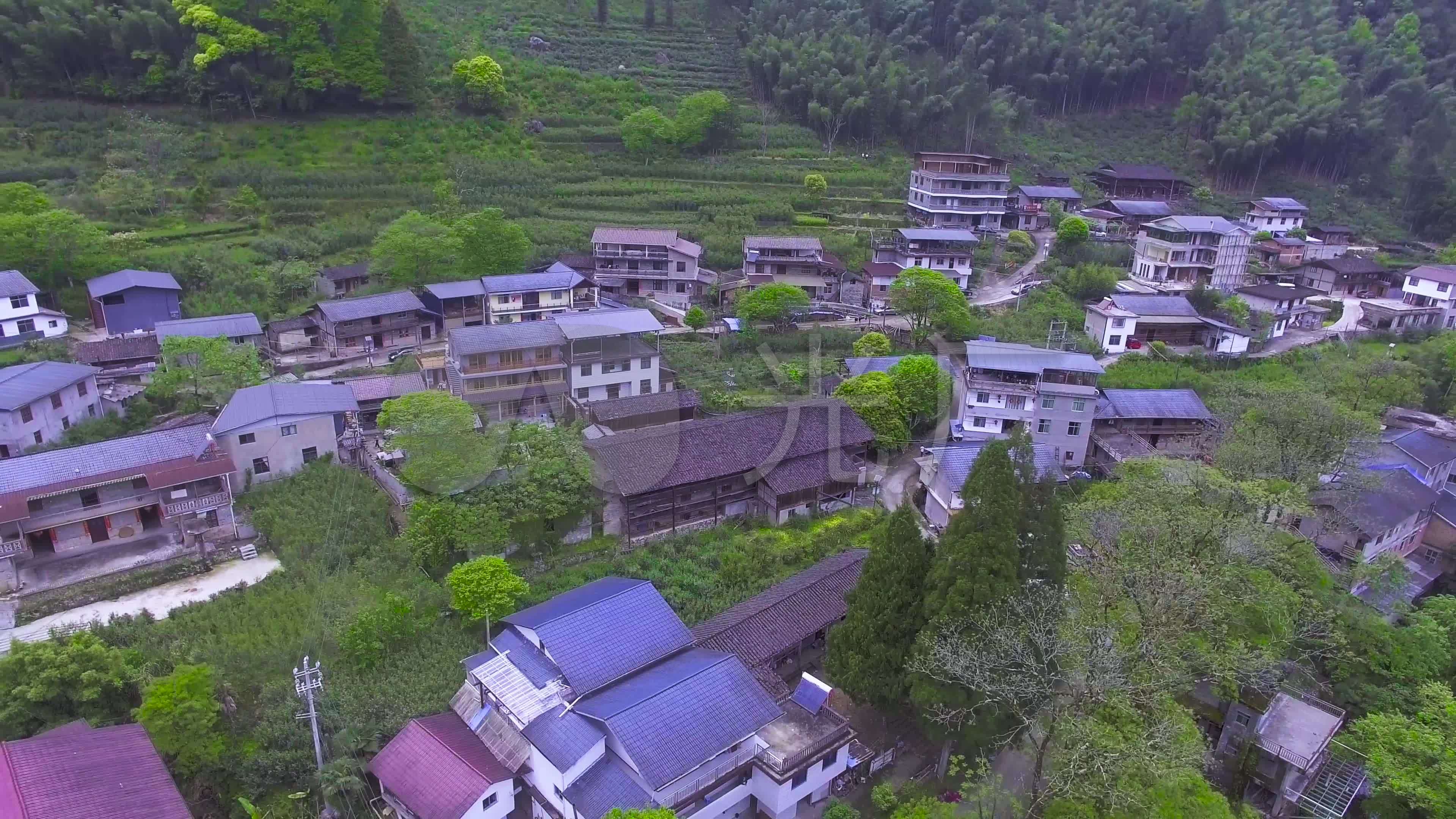 武夷山桐木关桐木村茶山航拍_3840x2160_高清视频素材下载(编号