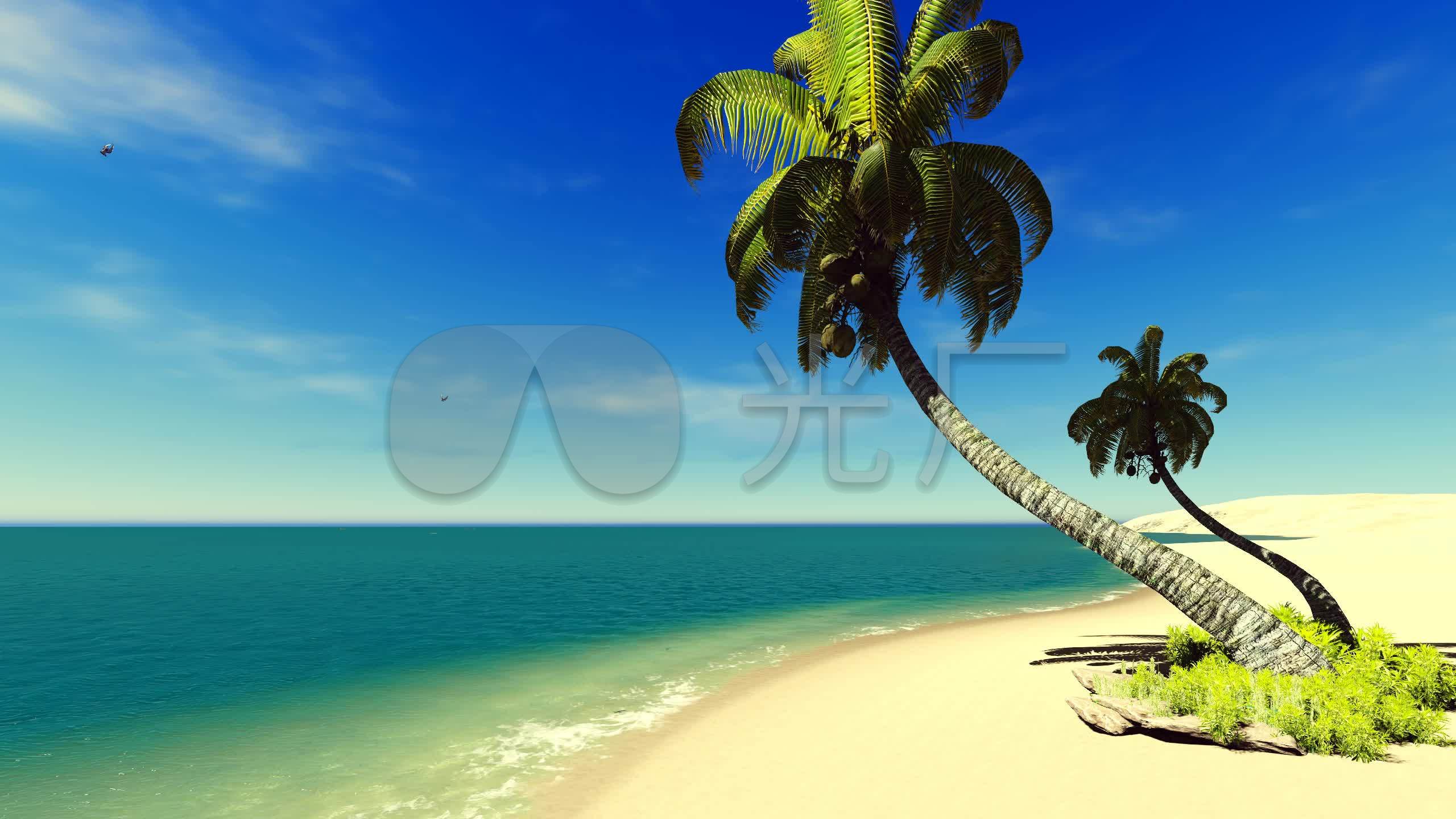 蓝色大海椰子树沙滩
