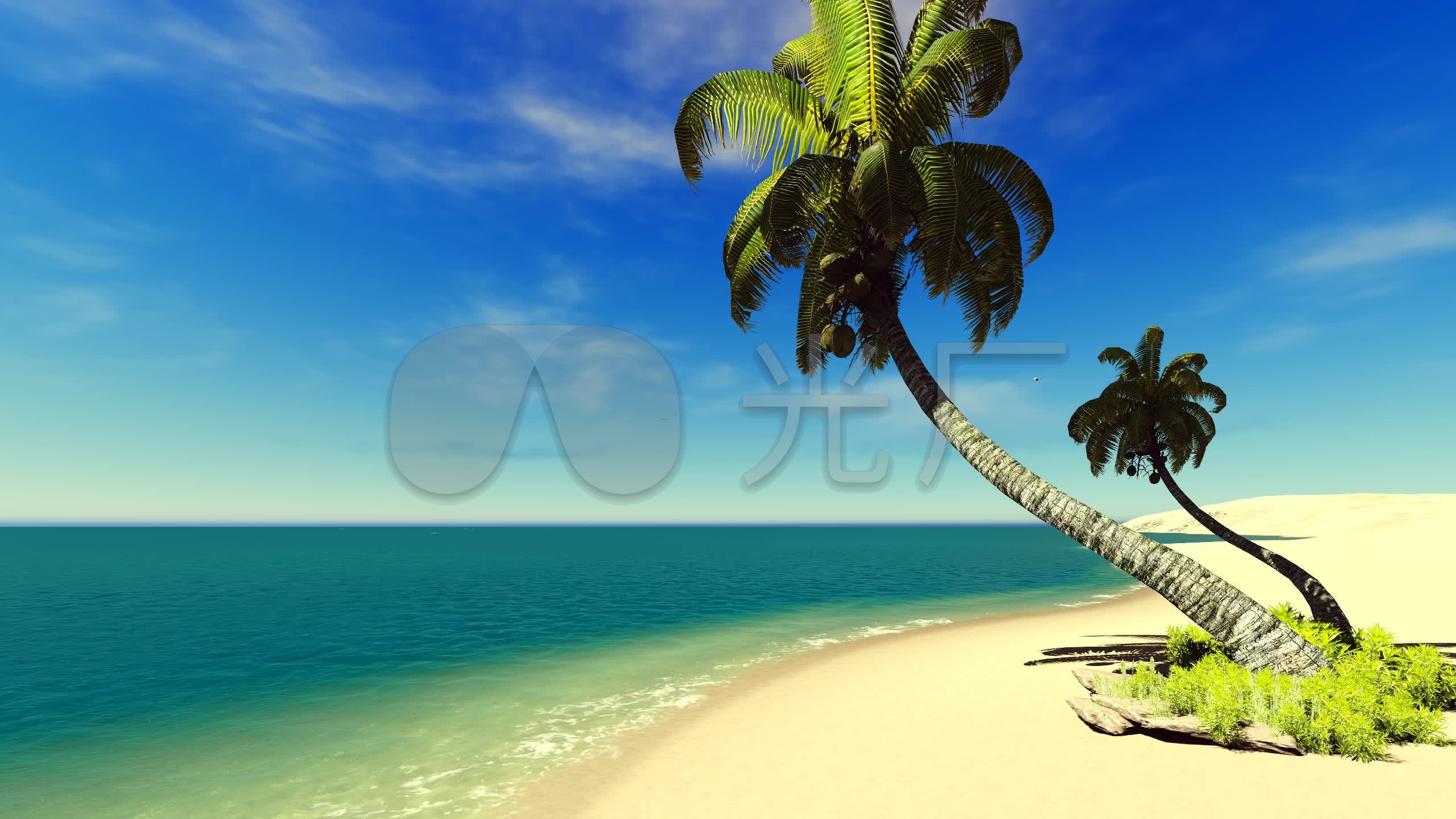 蓝色大海椰子树沙滩_2560x1440_高清视频素材下载(:)