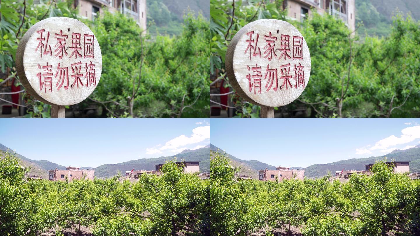 果园私家果园种植园农场果蔬告示牌警示牌请勿采摘