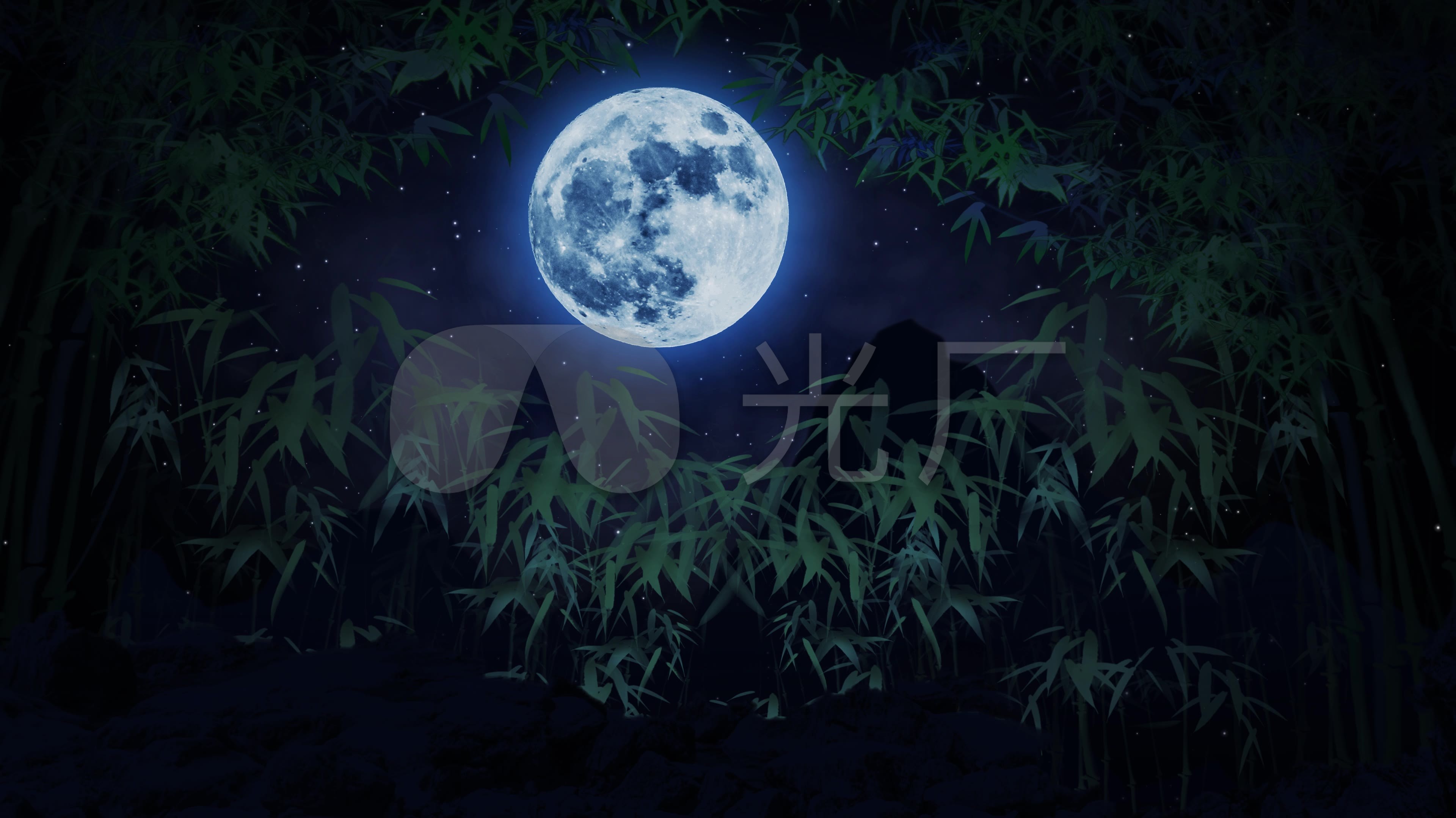 4k竹林夜景夜空月亮背景视频