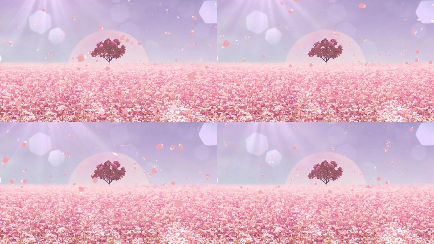 粉色花瓣花海唯美温馨主题开场舞台包装led大屏背景