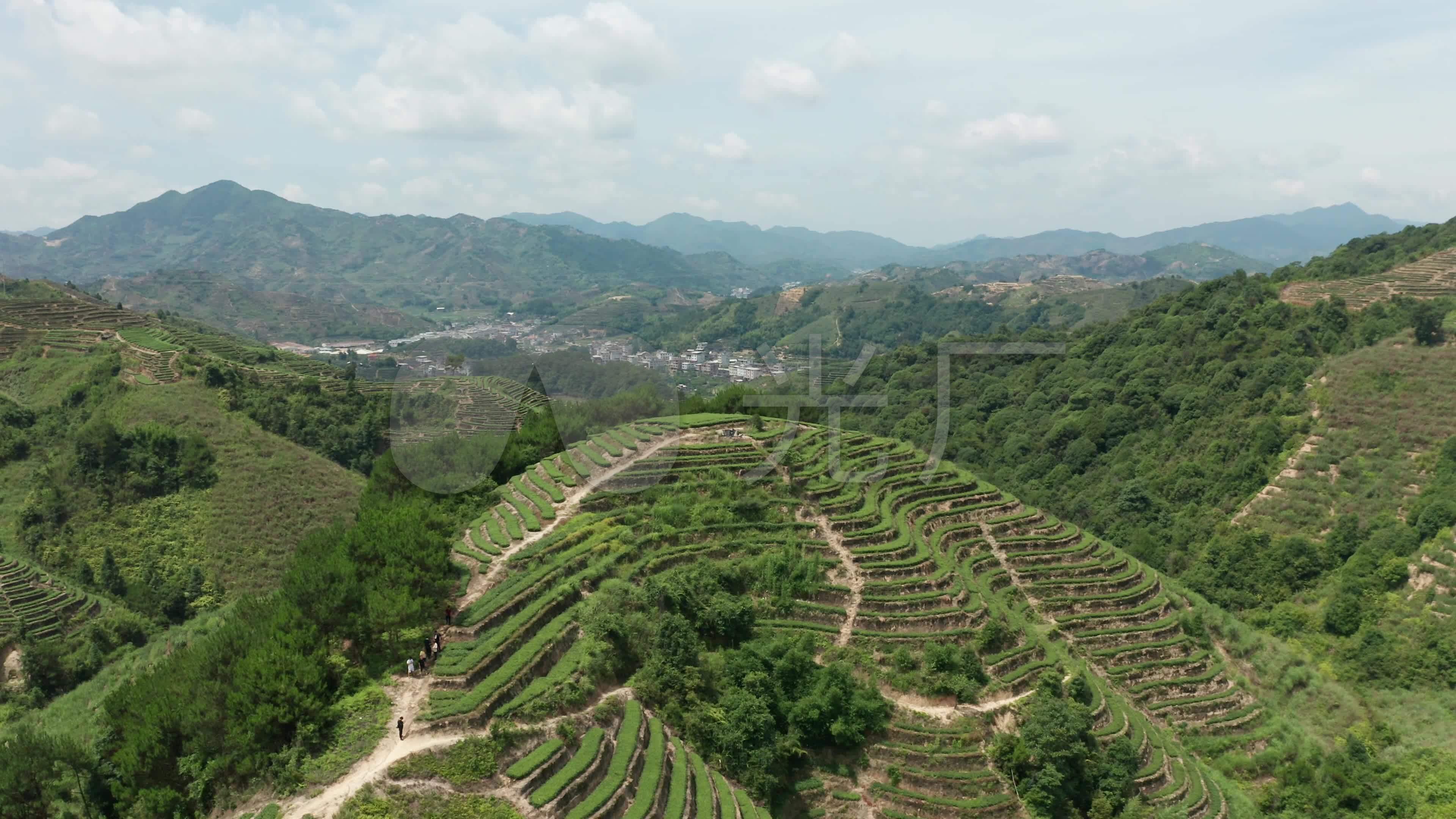 安溪铁观音茶山茶园航拍_3840x2160_高清视频素材下载(编号:4719680)