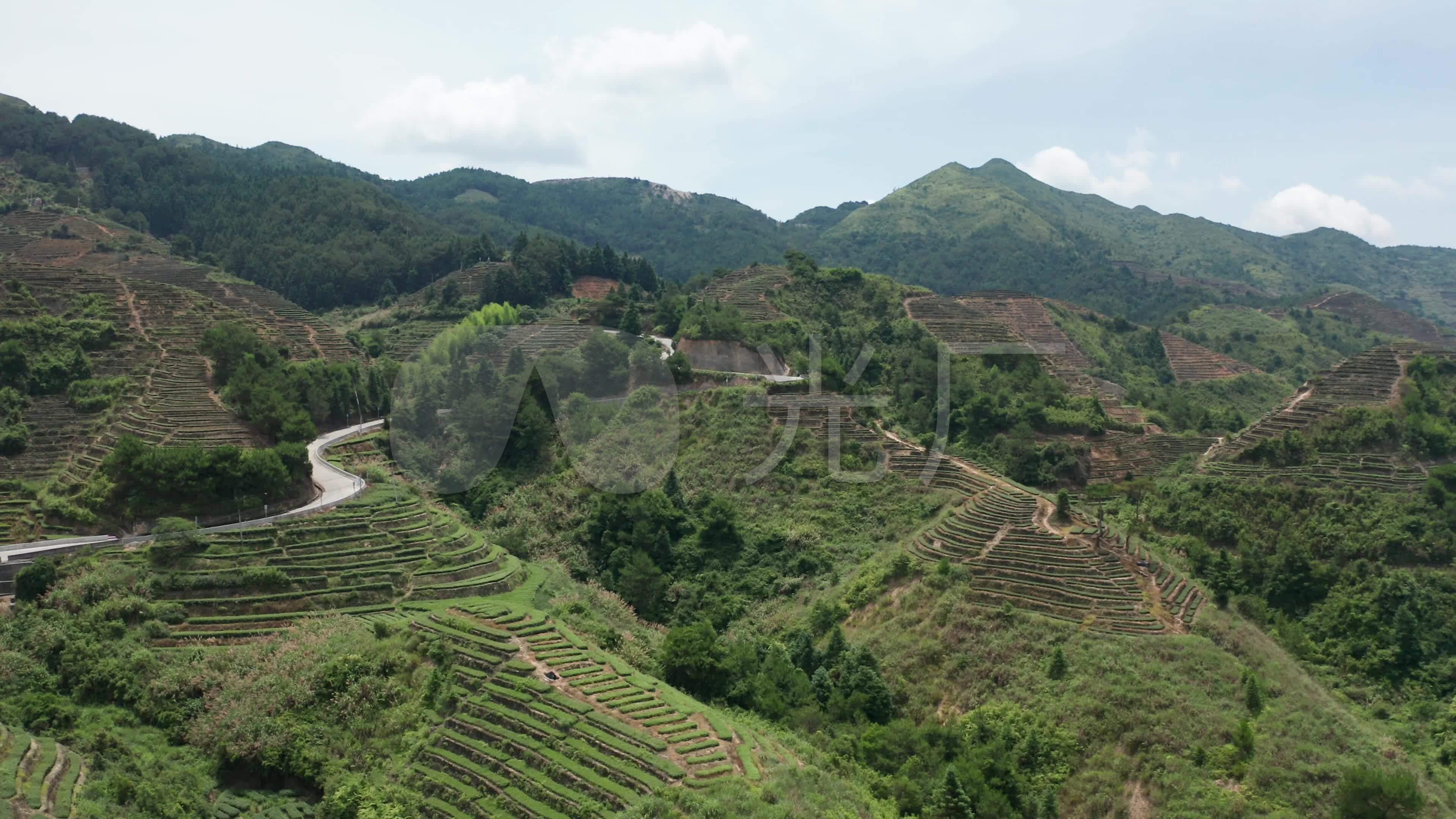 安溪铁观音茶山茶园航拍_3840x2160_高清视频素材下载(编号:4719680)