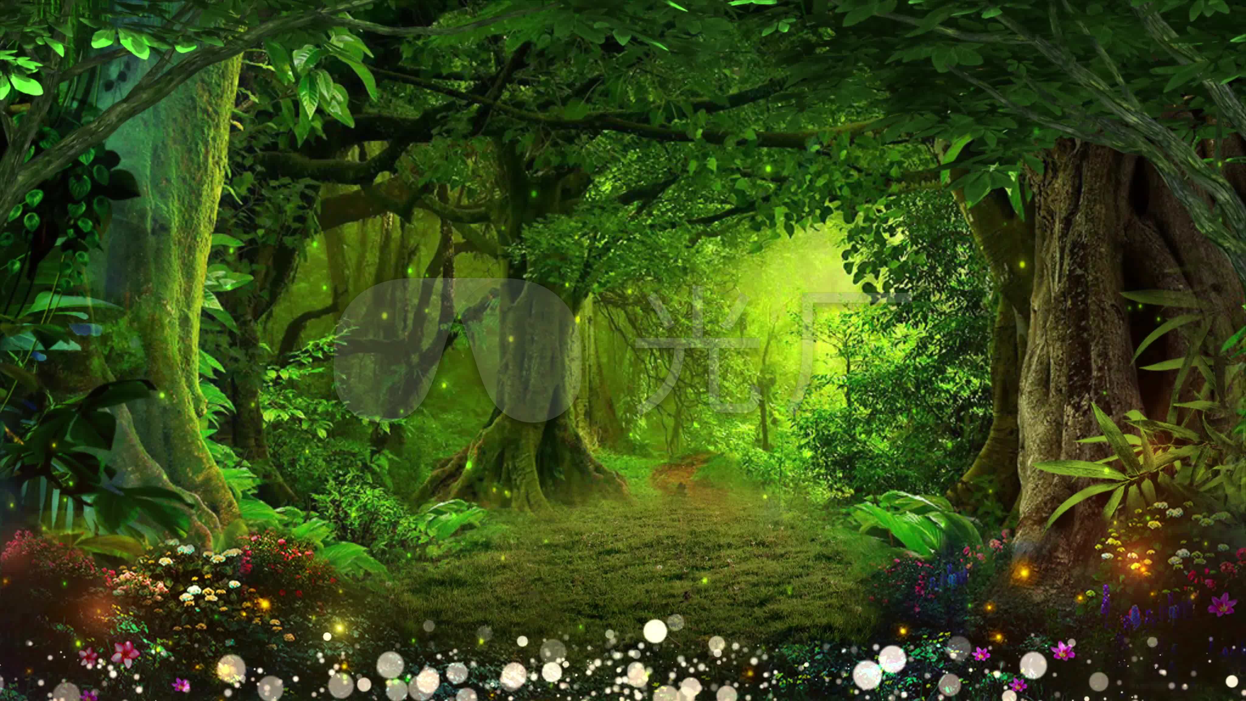 4k绿色森林童话背景循环