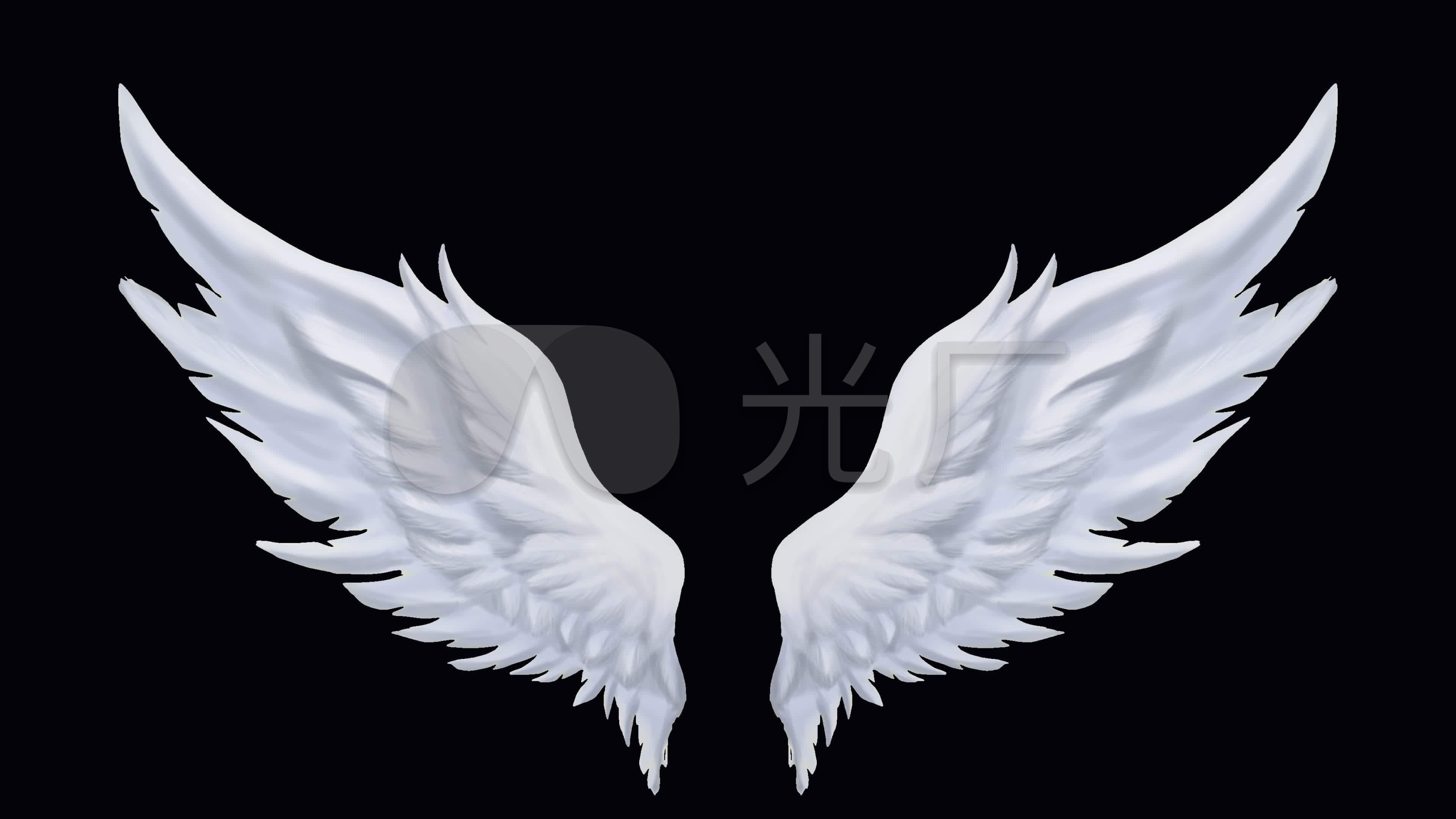 翅膀飞翔素材_3840x2160_高清视频素材下载(编号:)