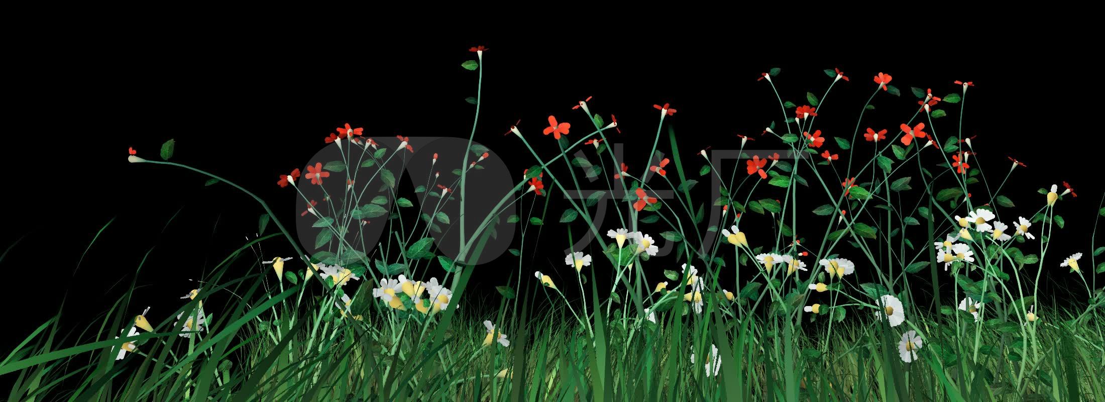 花草动画