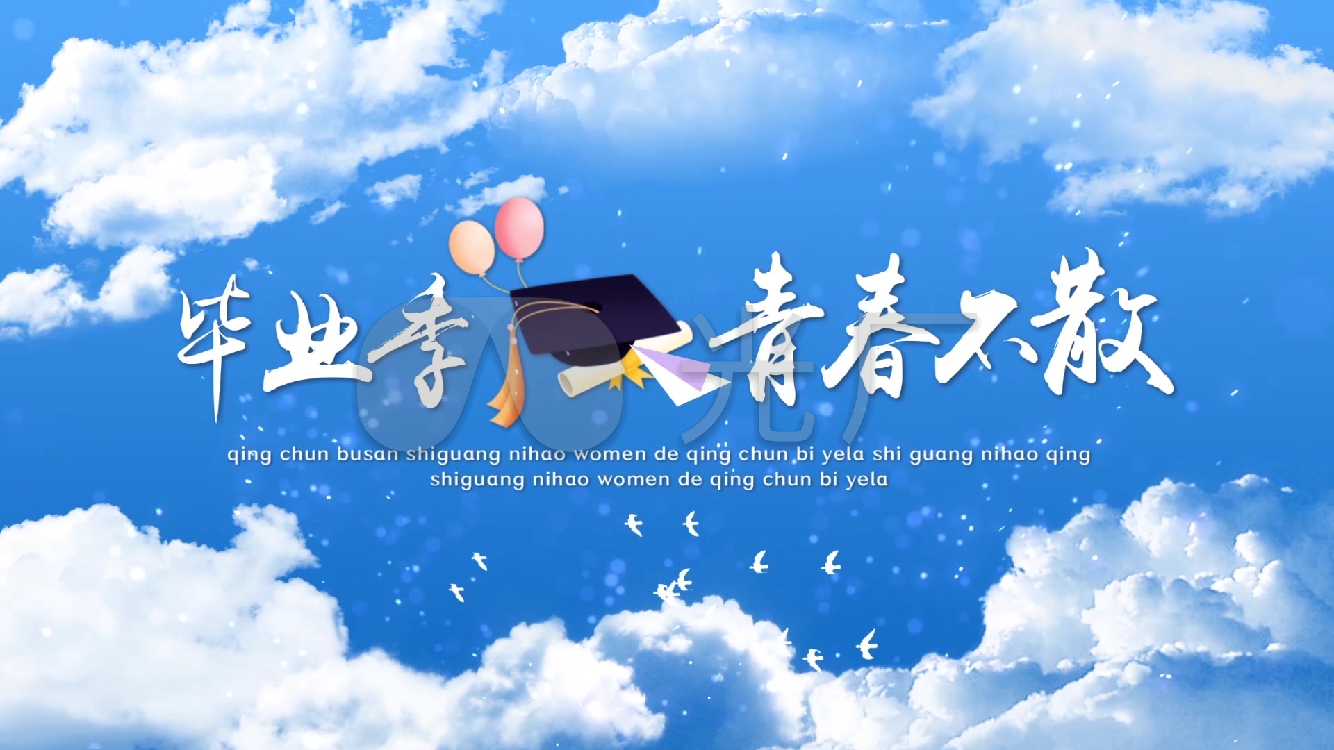 毕业季图文汇聚ae模板(无插件)_ae模板下载(编号:)_ae