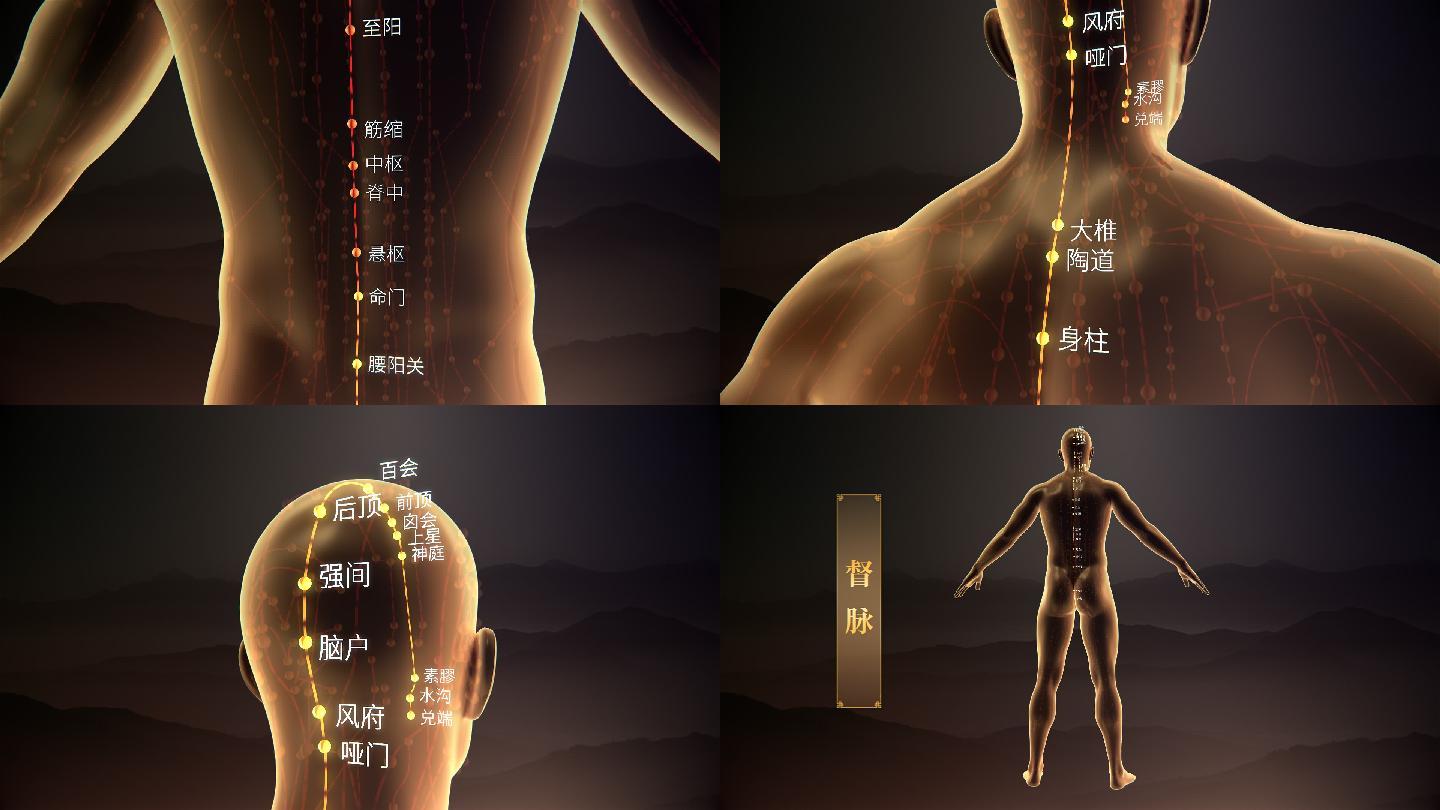 督脉