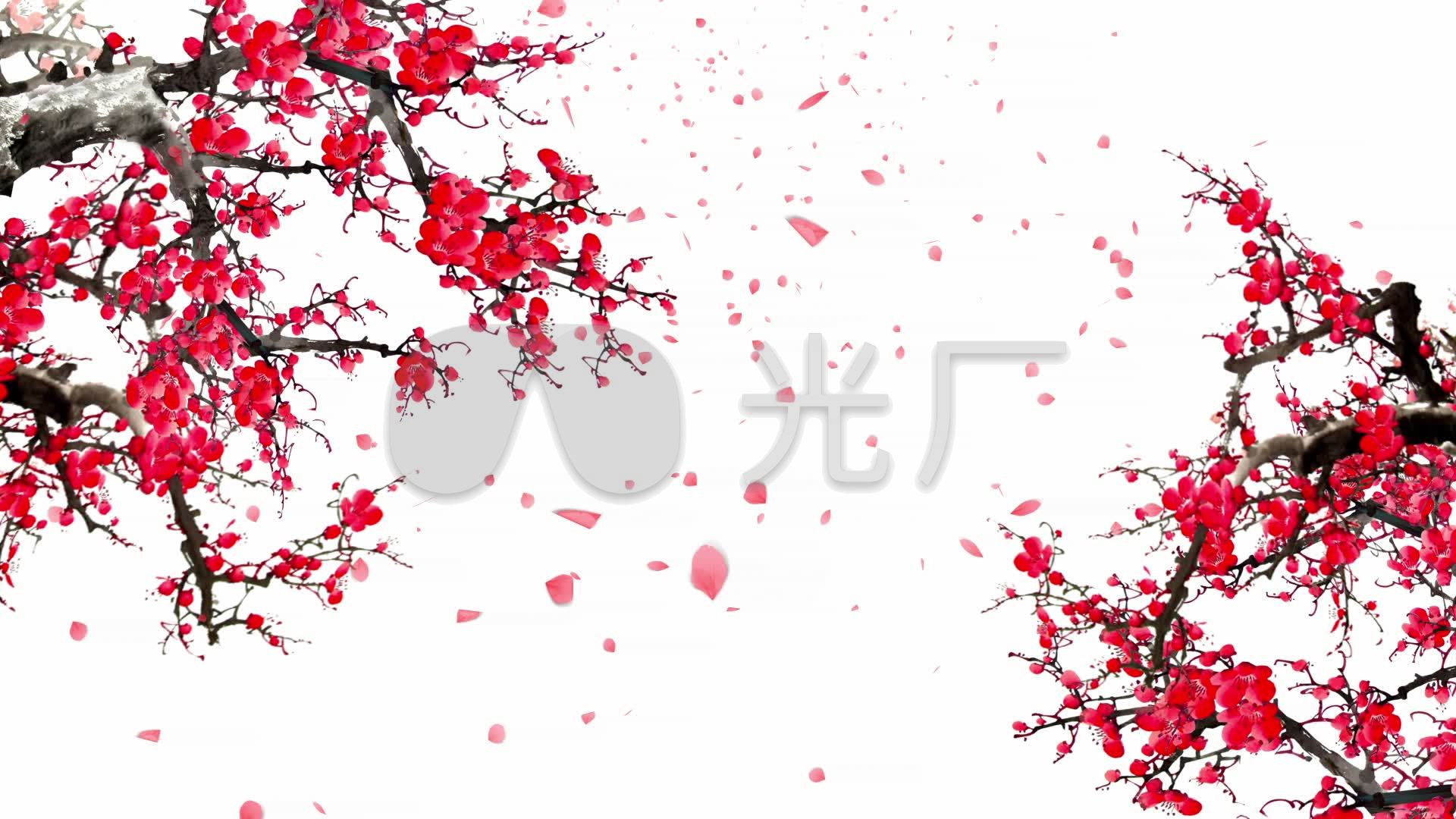中国风古诗词背景唯美红梅飘花瓣古风素材_1920x1080_高清视频素材