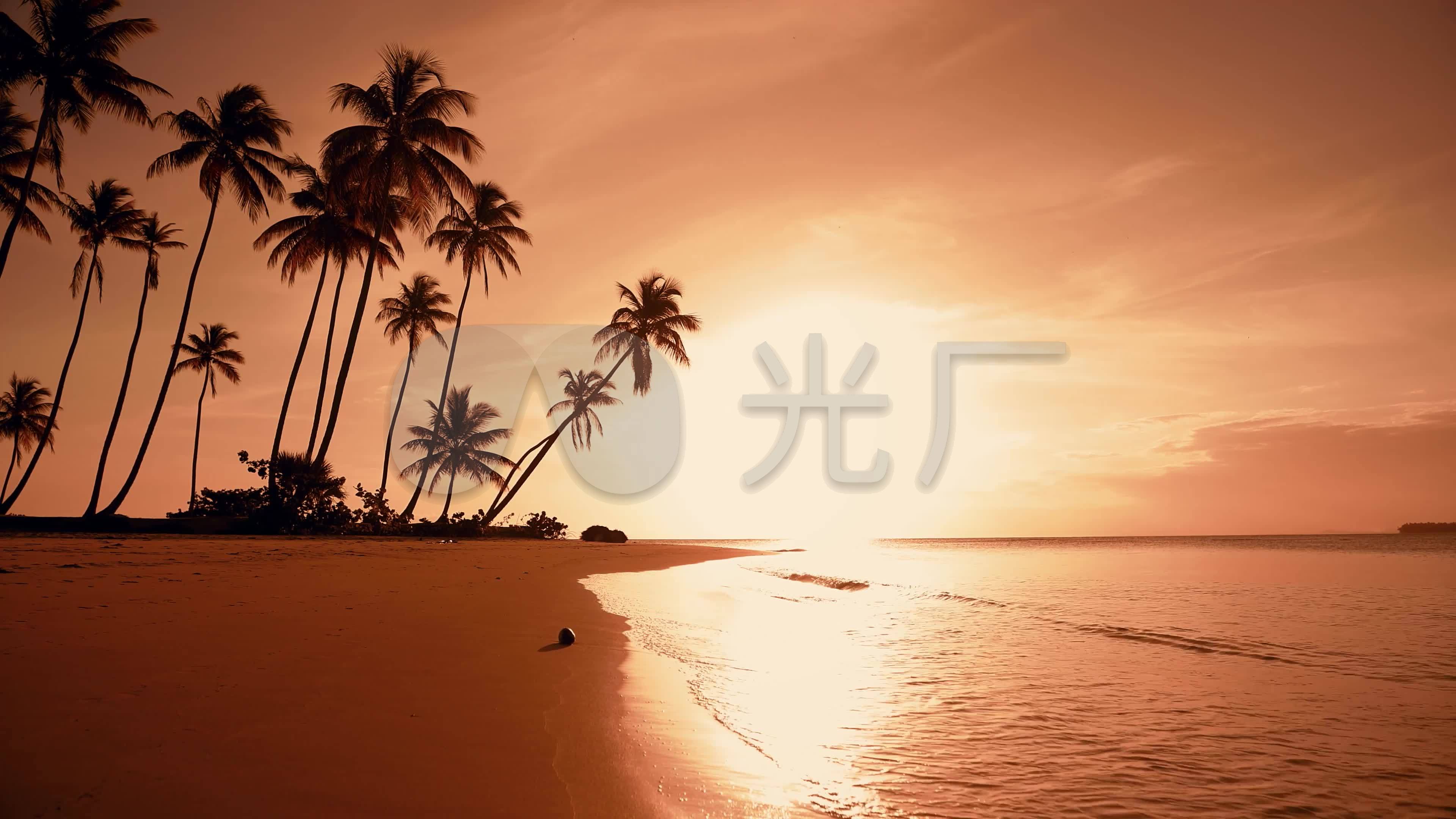 夕阳海滩棕榈树椰子树沙滩浪花海浪