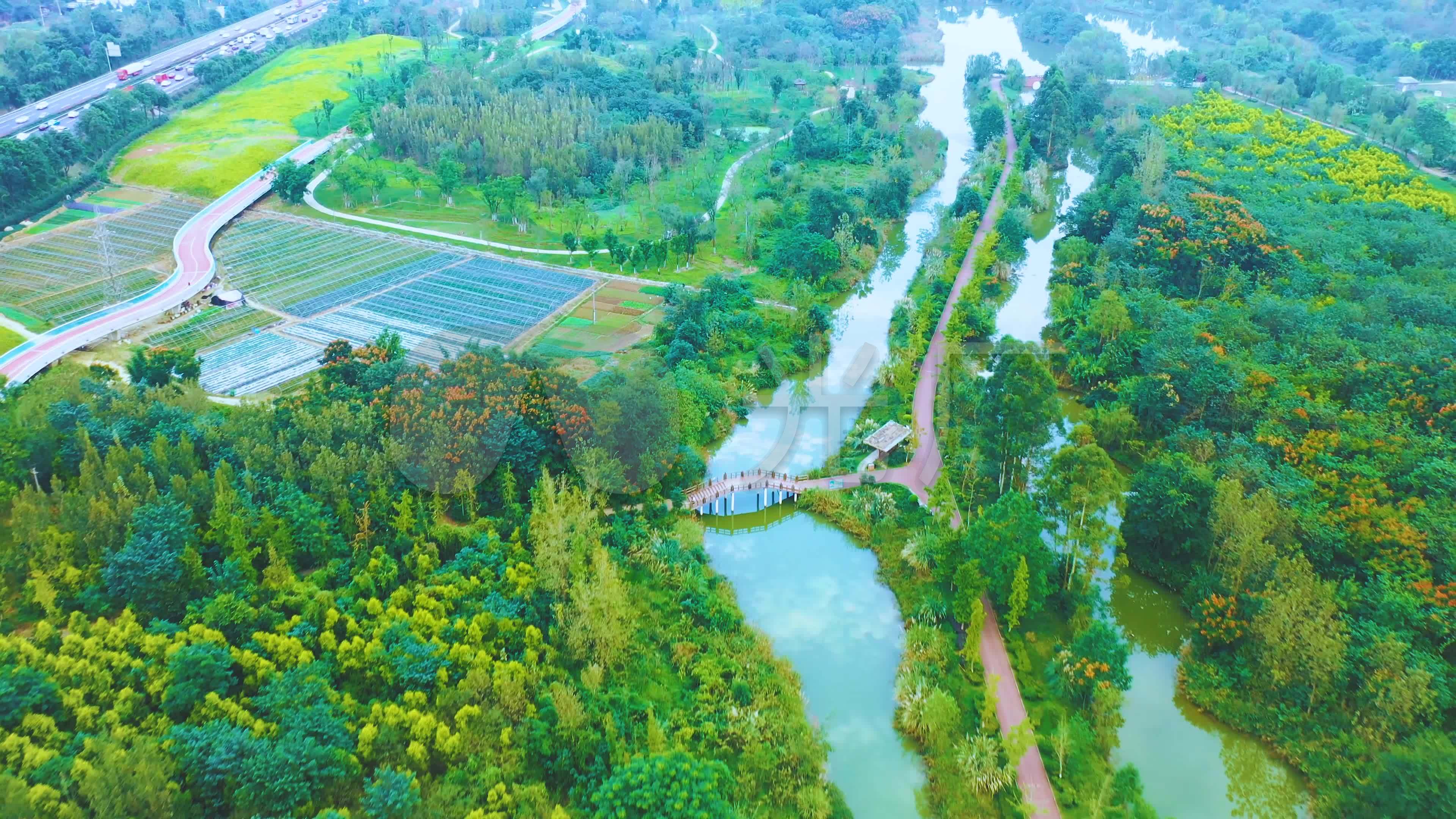 成都三圣乡白鹭湾湿地公园高清4k航拍_3840x2160_高清视频素材下载