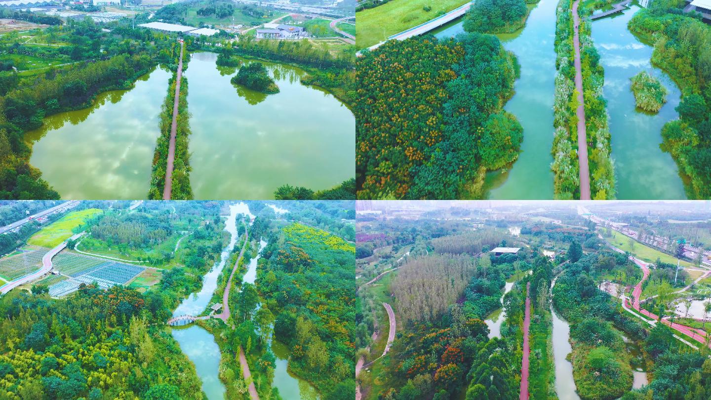 成都三圣乡白鹭湾湿地公园高清4k航拍