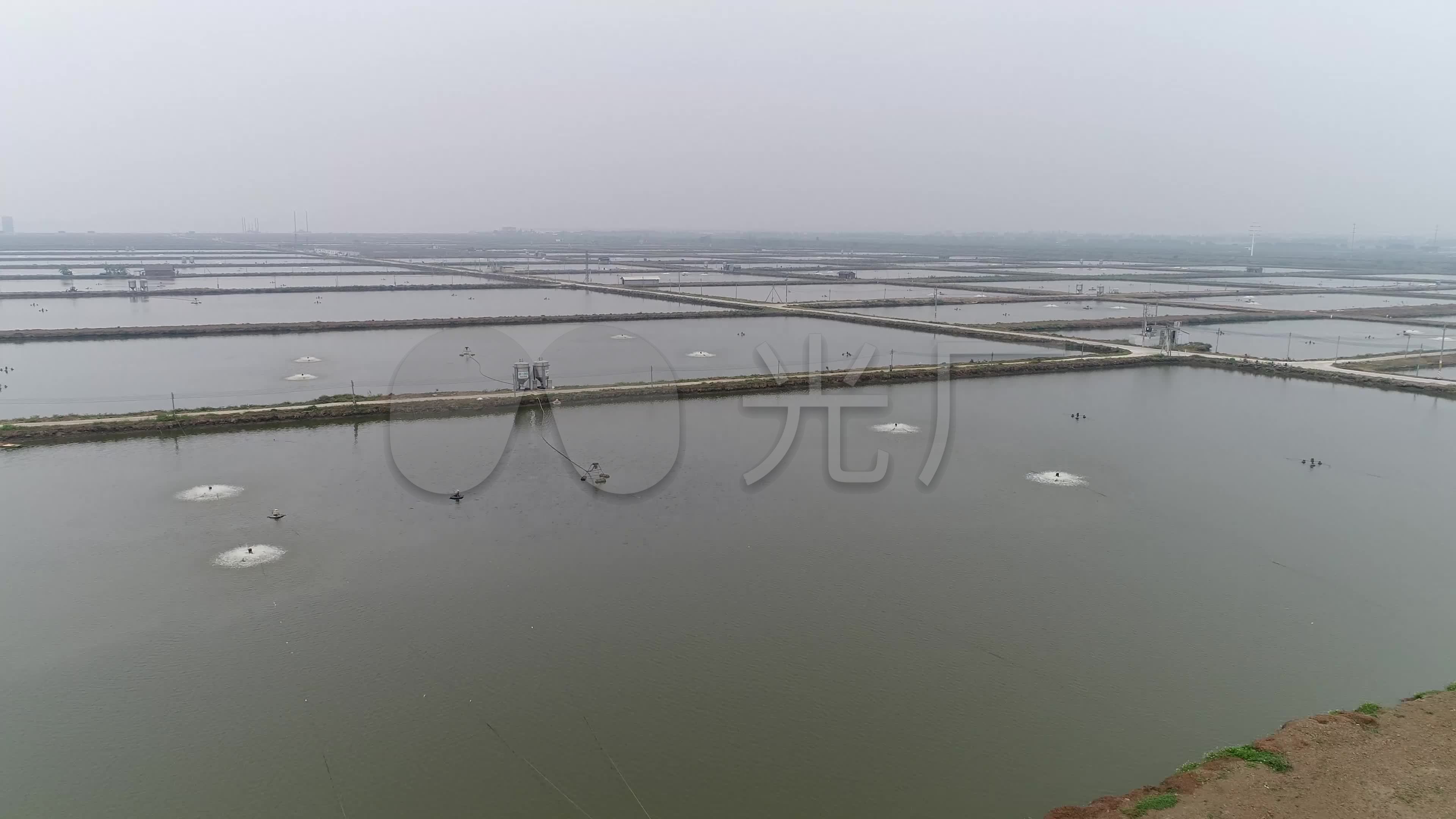 现代水产养殖鱼塘渔场视频素材