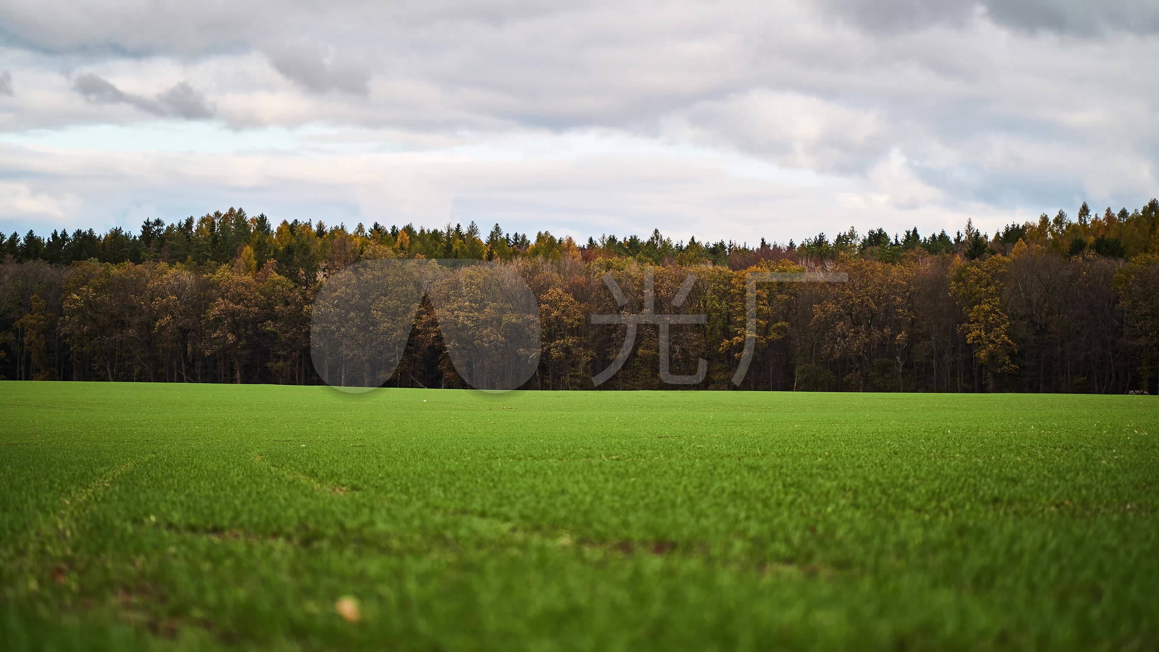 4k秋天树林草坪绿色草地_3840x2160_高清视频素材下载(编号:4759768)