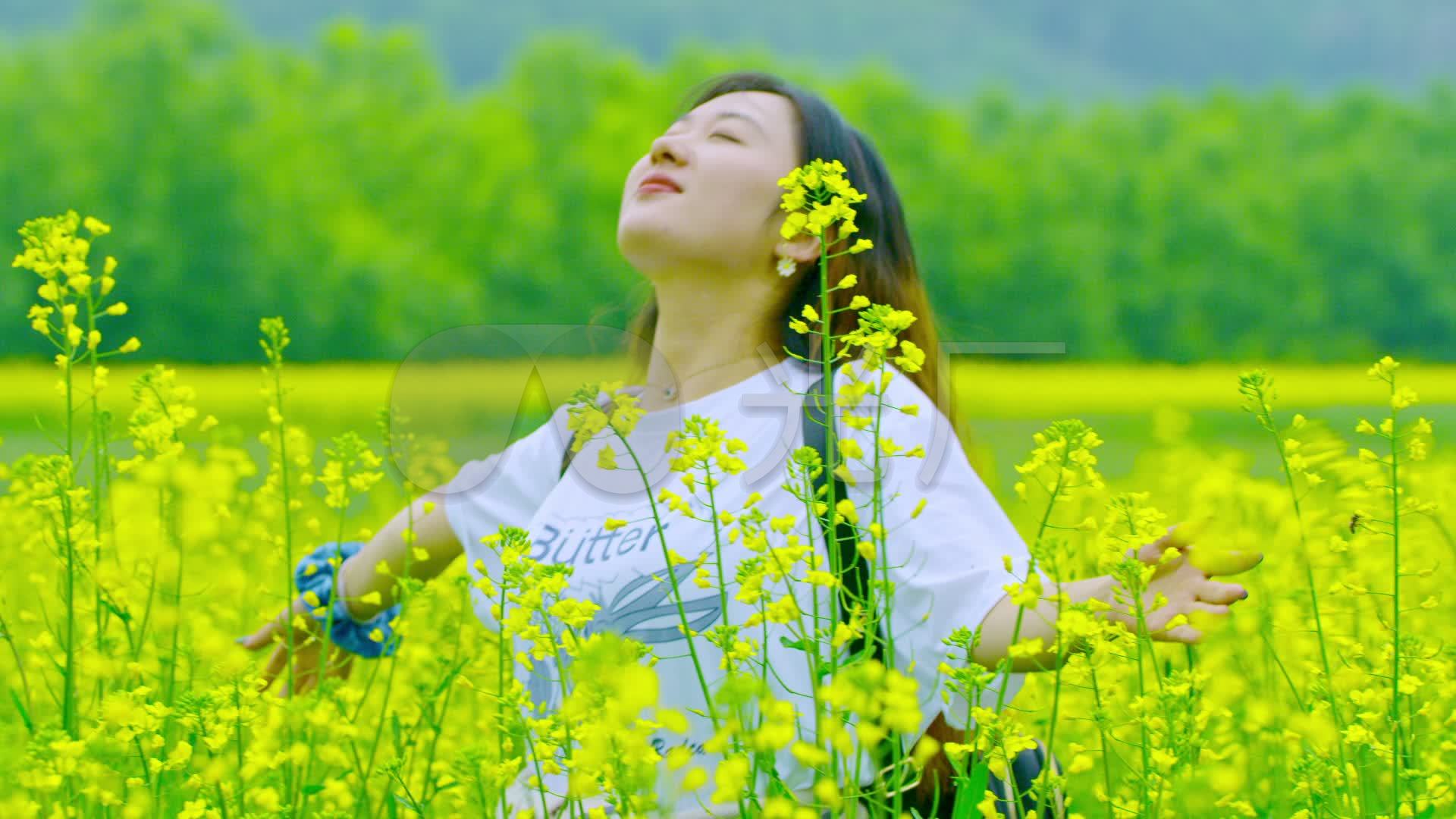 油菜花盛开女孩