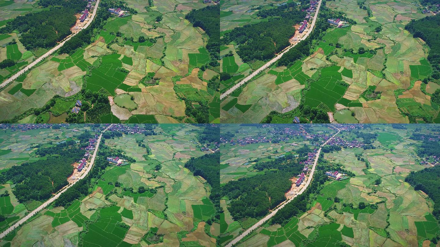 中国江西吉安土地田地农田农村村庄庄稼稻田绿色生态环境航拍鸟瞰丰收