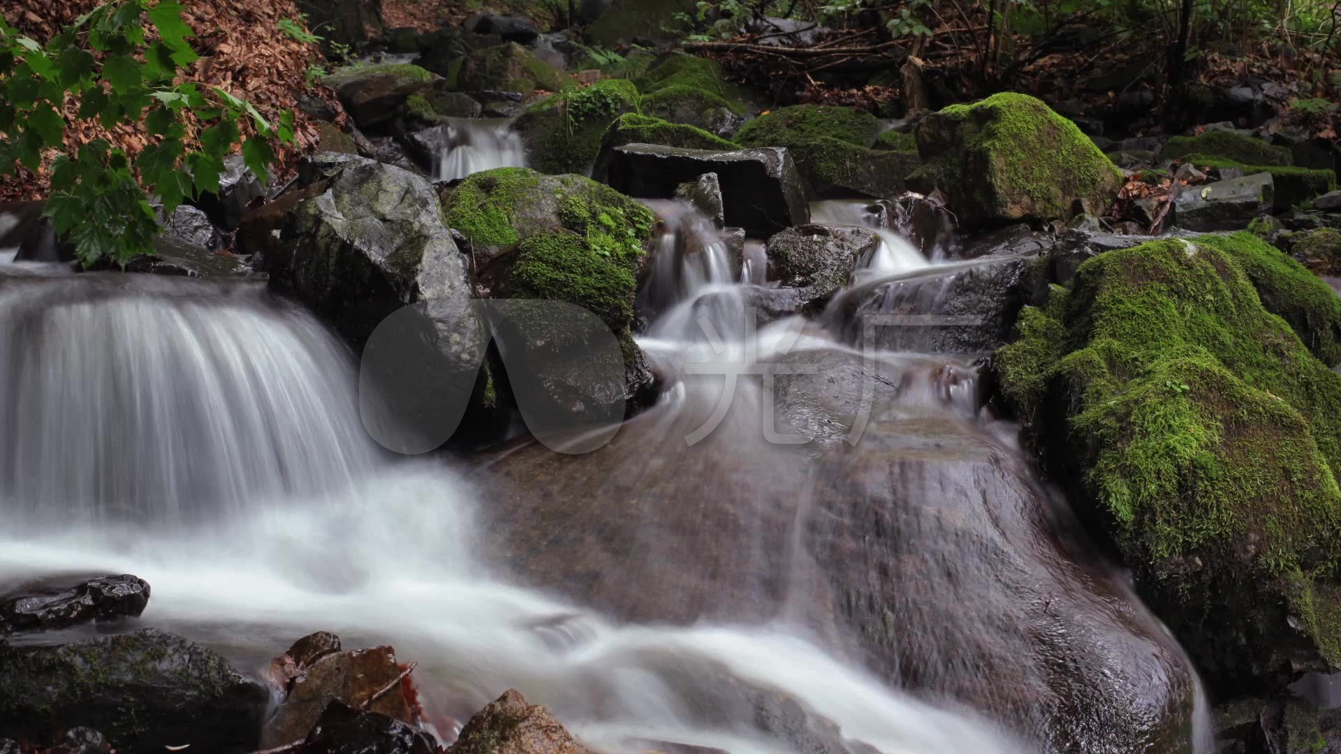 绿苔溪水_1920x1080_高清视频素材下载(编号:4801903)