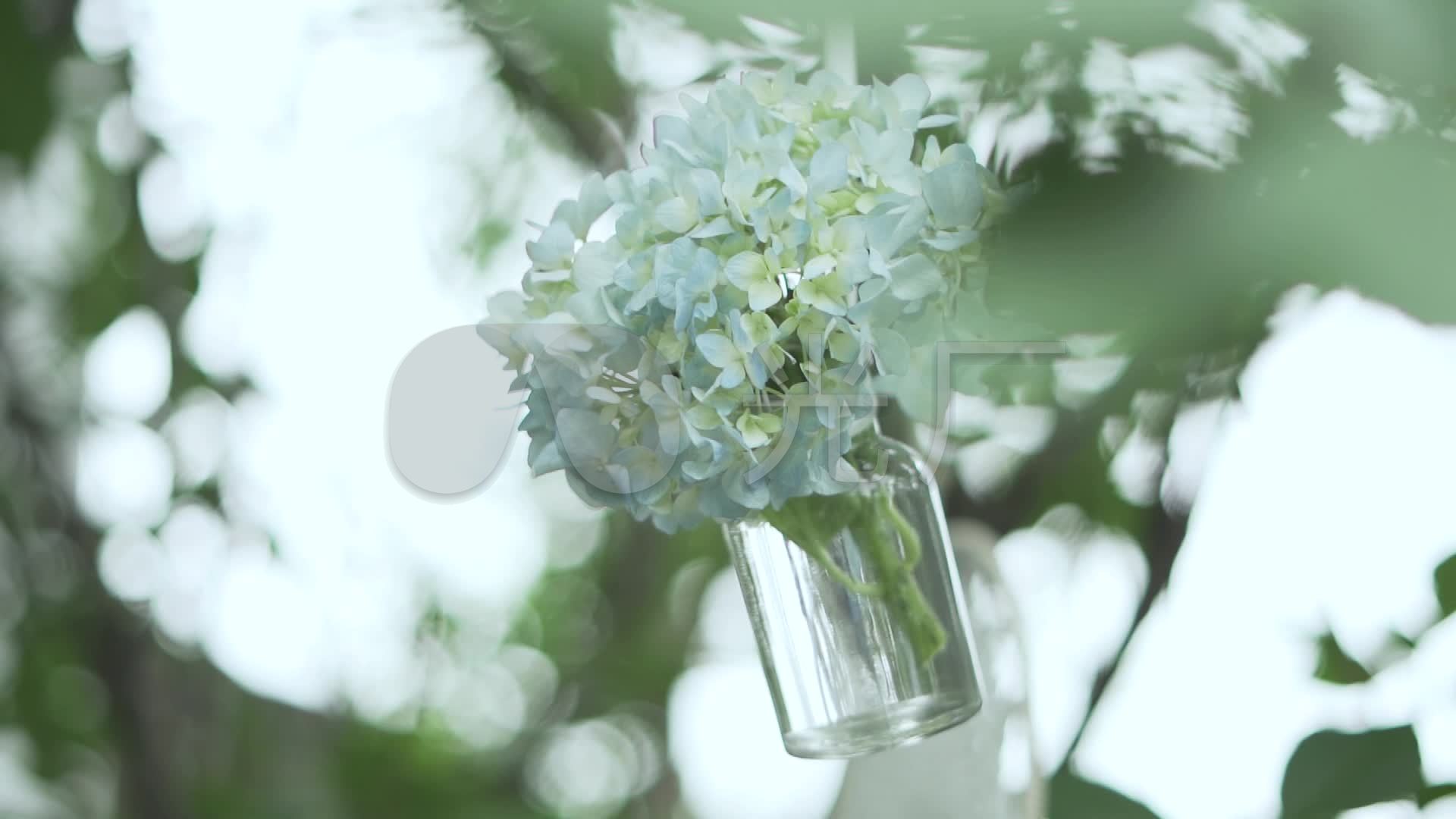 唯美小清新自然鲜花玻璃瓶装饰空镜头