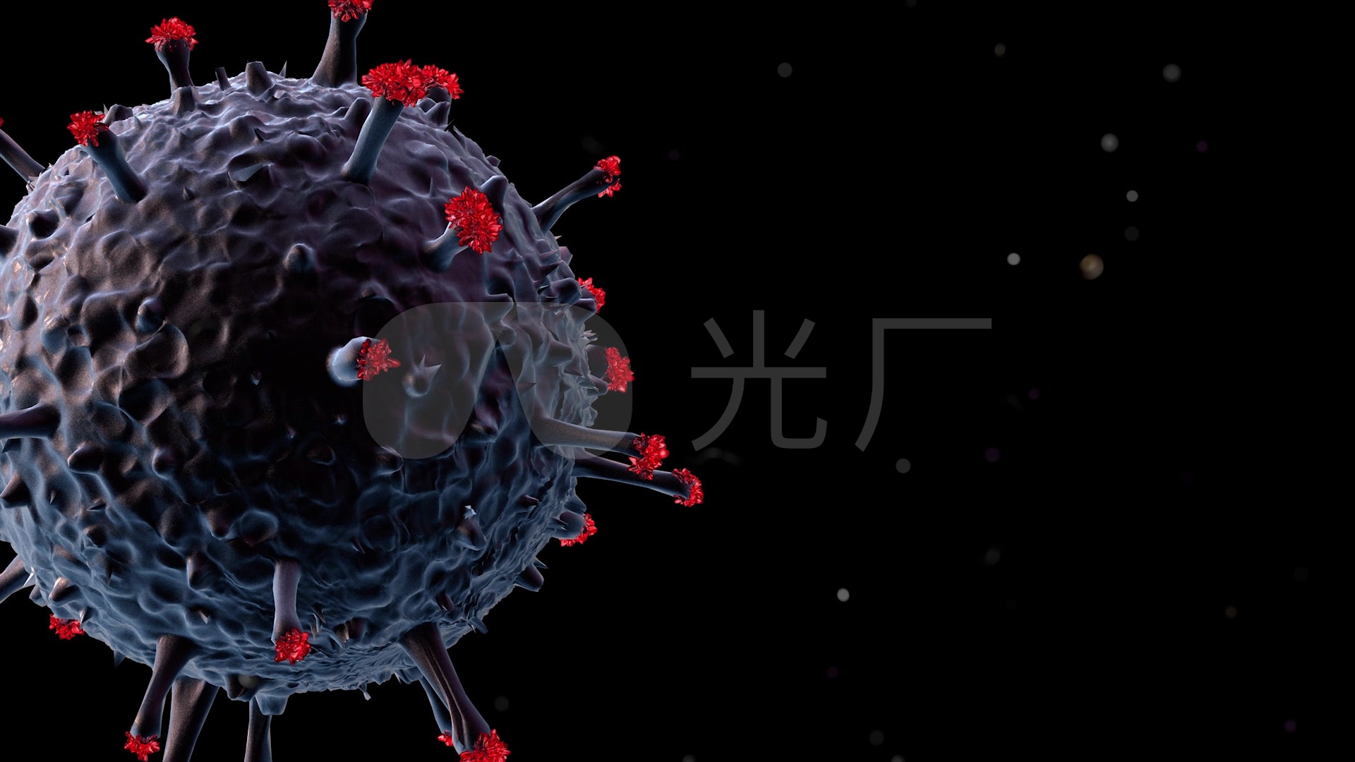 新冠肺炎病毒细菌细胞真菌_1920x1080_高清视频素材