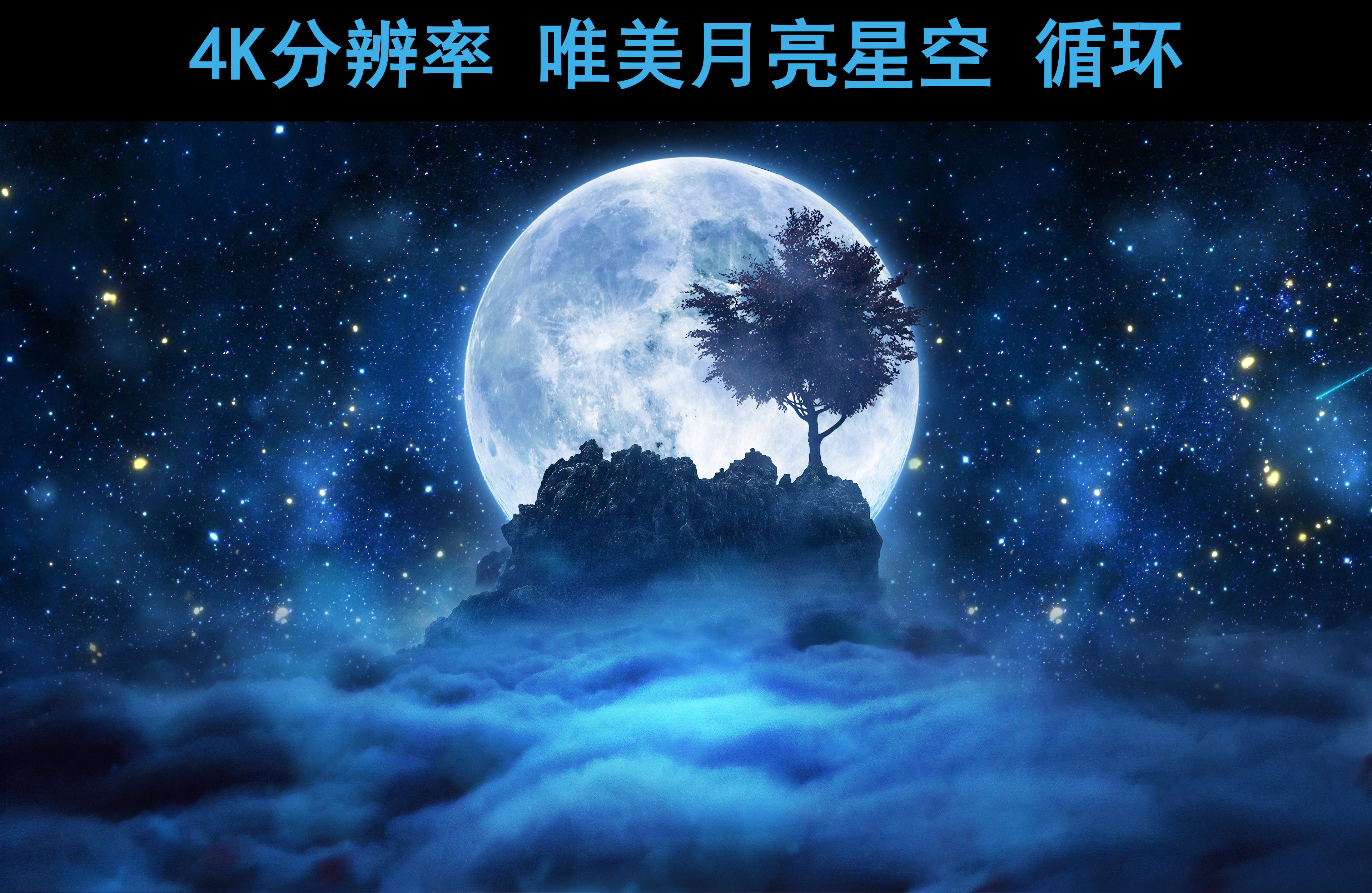 视频素材 舞台背景 抒情唯美 星空月夜树下【4k分辨率循环】 声明水印