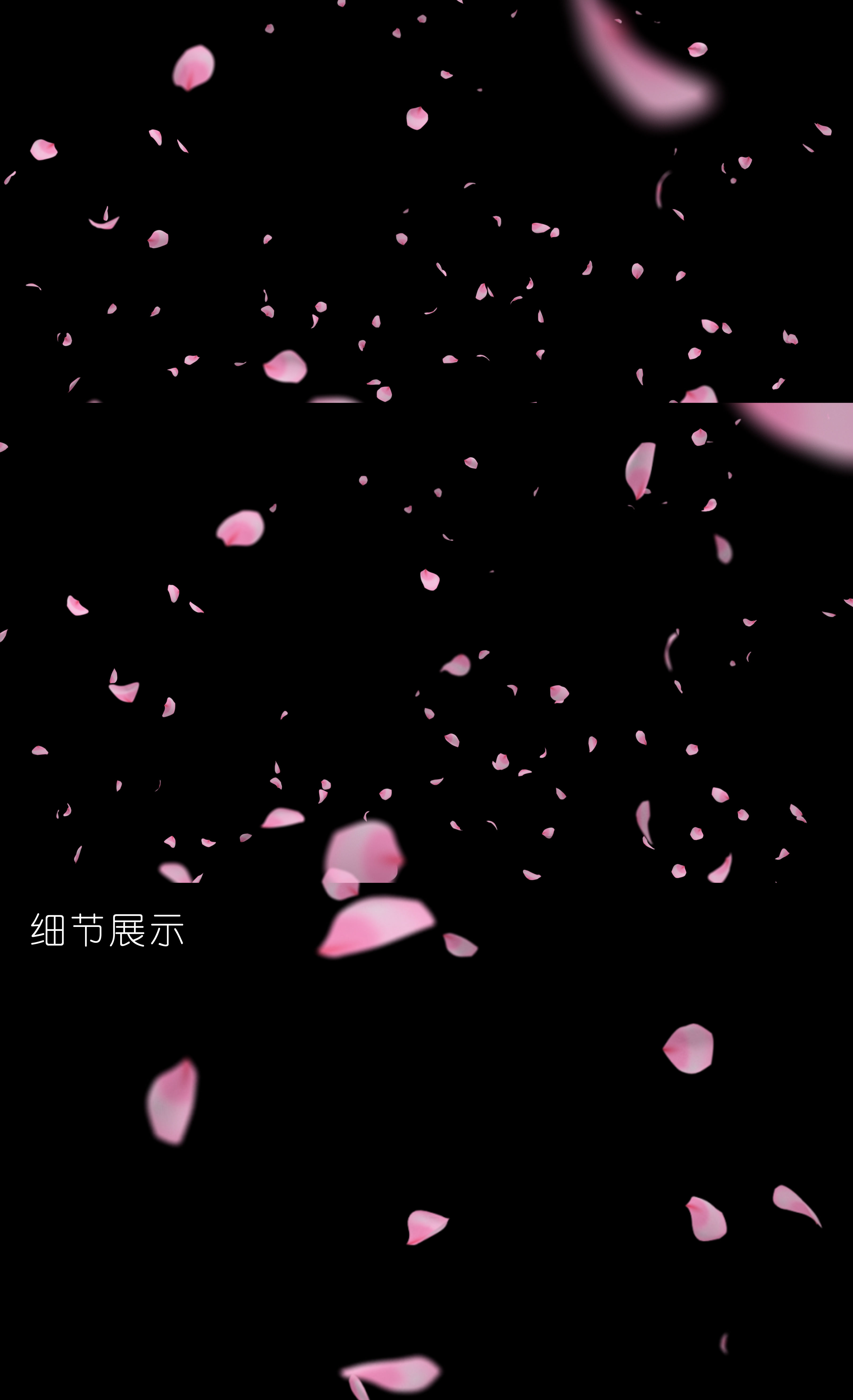 花瓣雨 唯美 舞蹈背景 梅花 樱花 桃花 花海画质检查举报作品下载