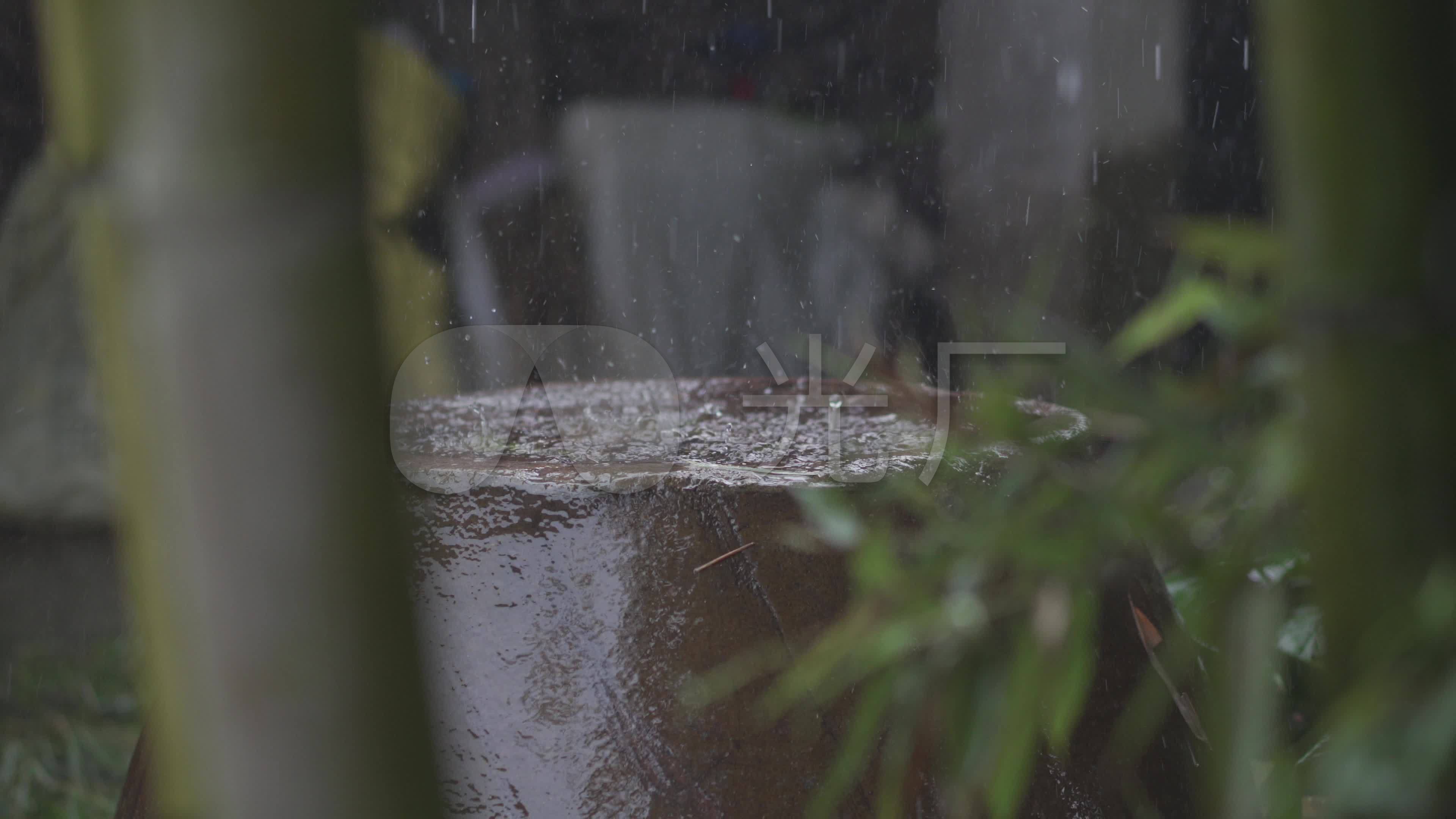 4k原素材下雨天实拍雨滴竹林_3840x2160_高清视频素材