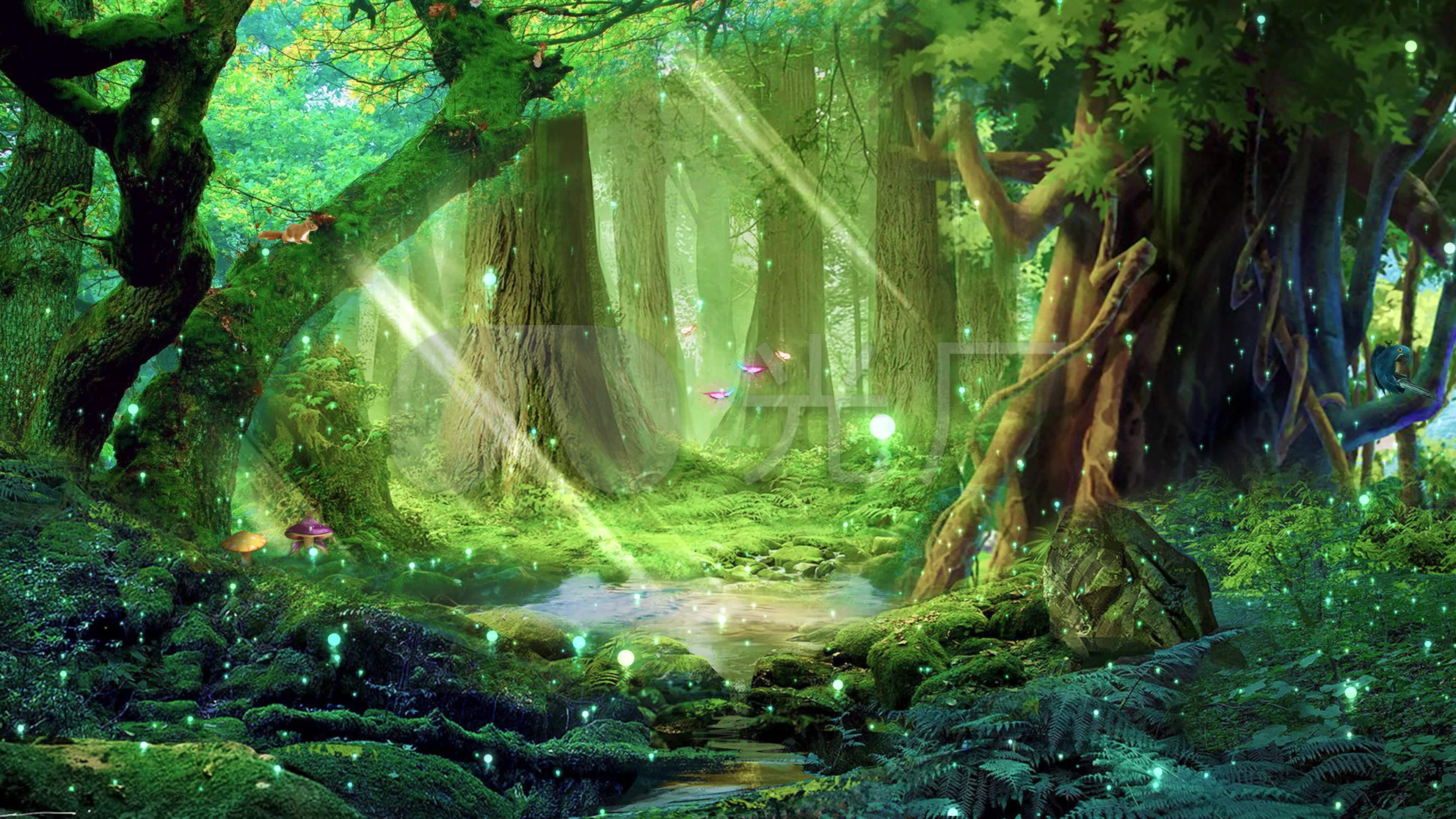 4k森林梦幻背景