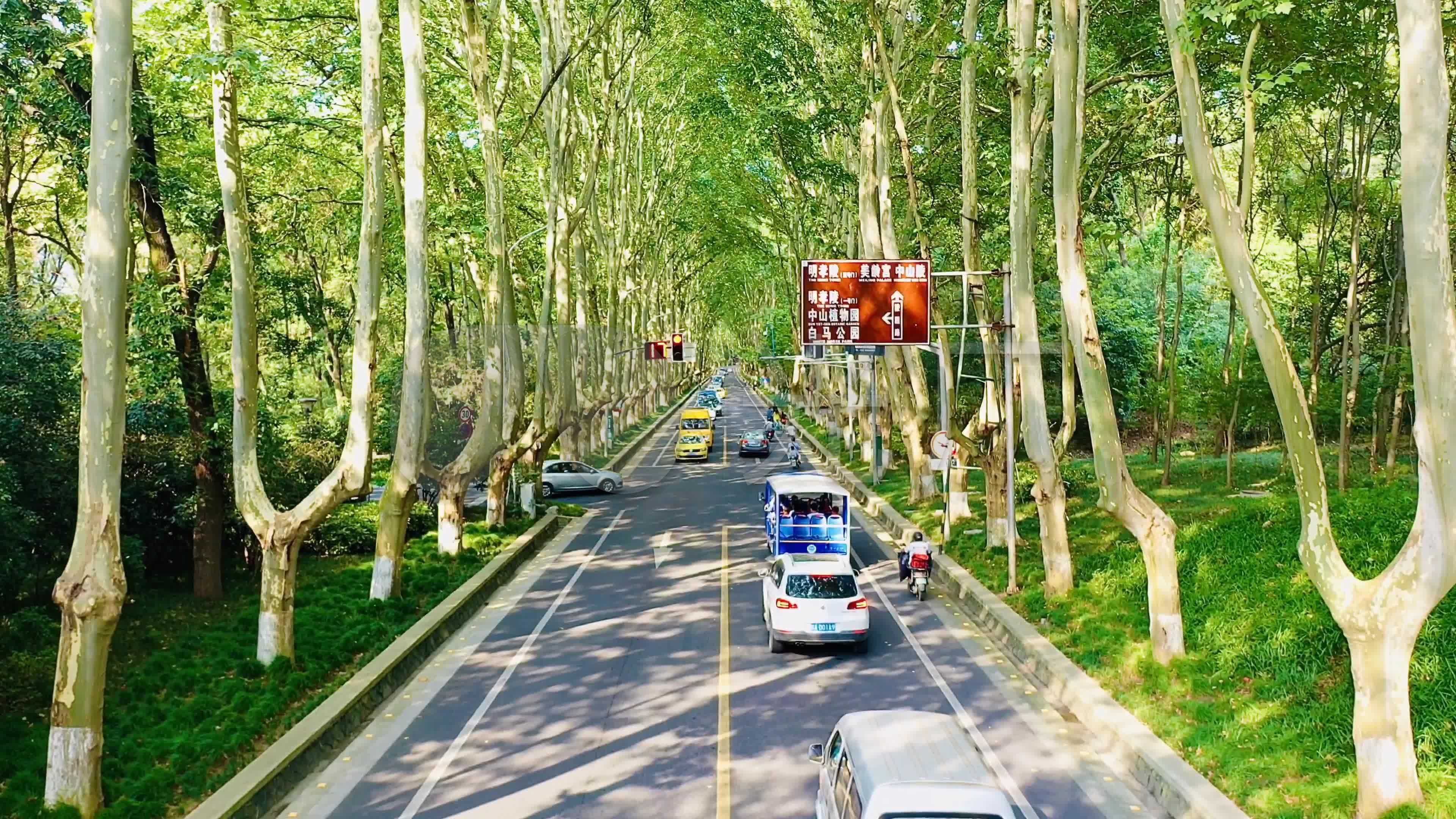 4k南京中山陵陵园路梧桐道路航拍_3840x2160_高清视频素材下载(编号