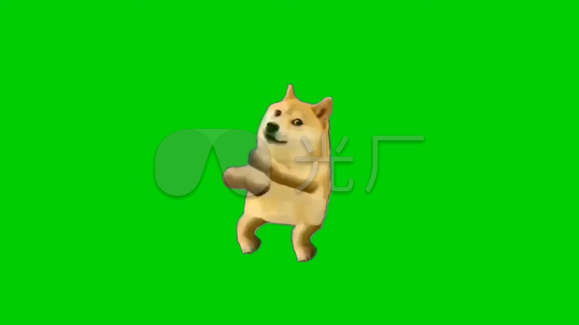 鬼畜cheems柴犬二哈总督独奏舞绿幕_1920x1080_高清