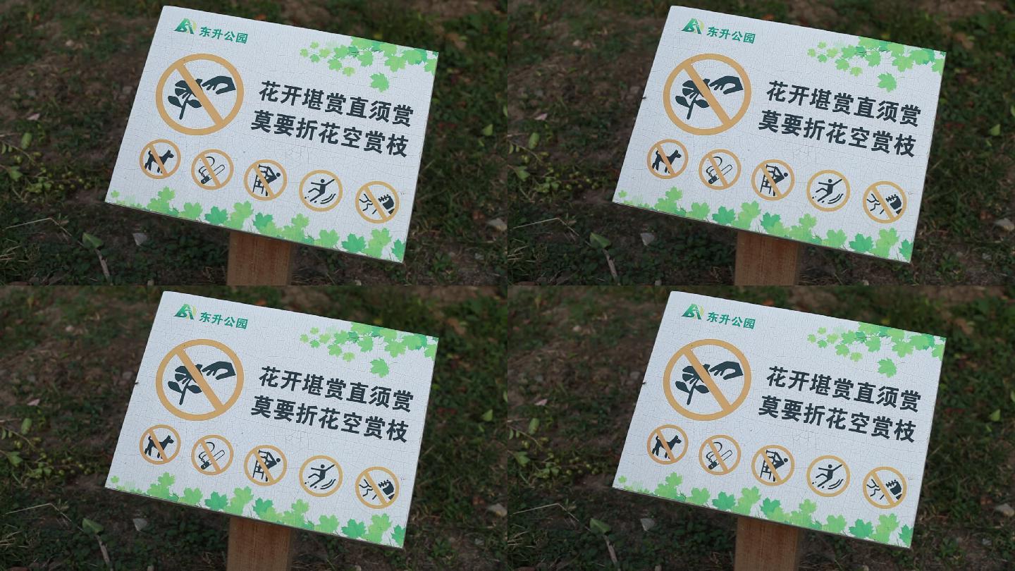 公园标语禁止摘花