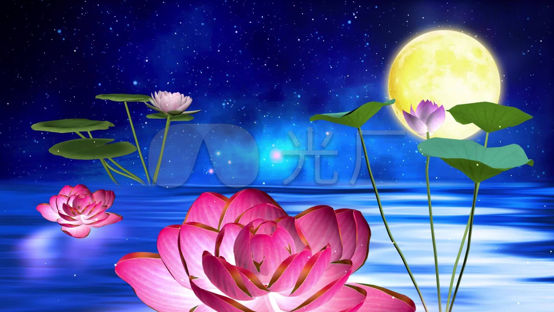 荷塘月色背景视频_1920x1080_高清视频素材下载(编号