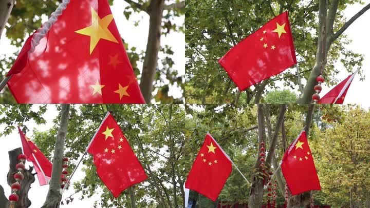 秋天五星红旗在树上迎风飘扬