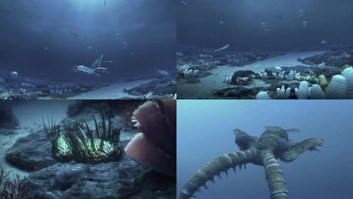 远古时期海洋生物
