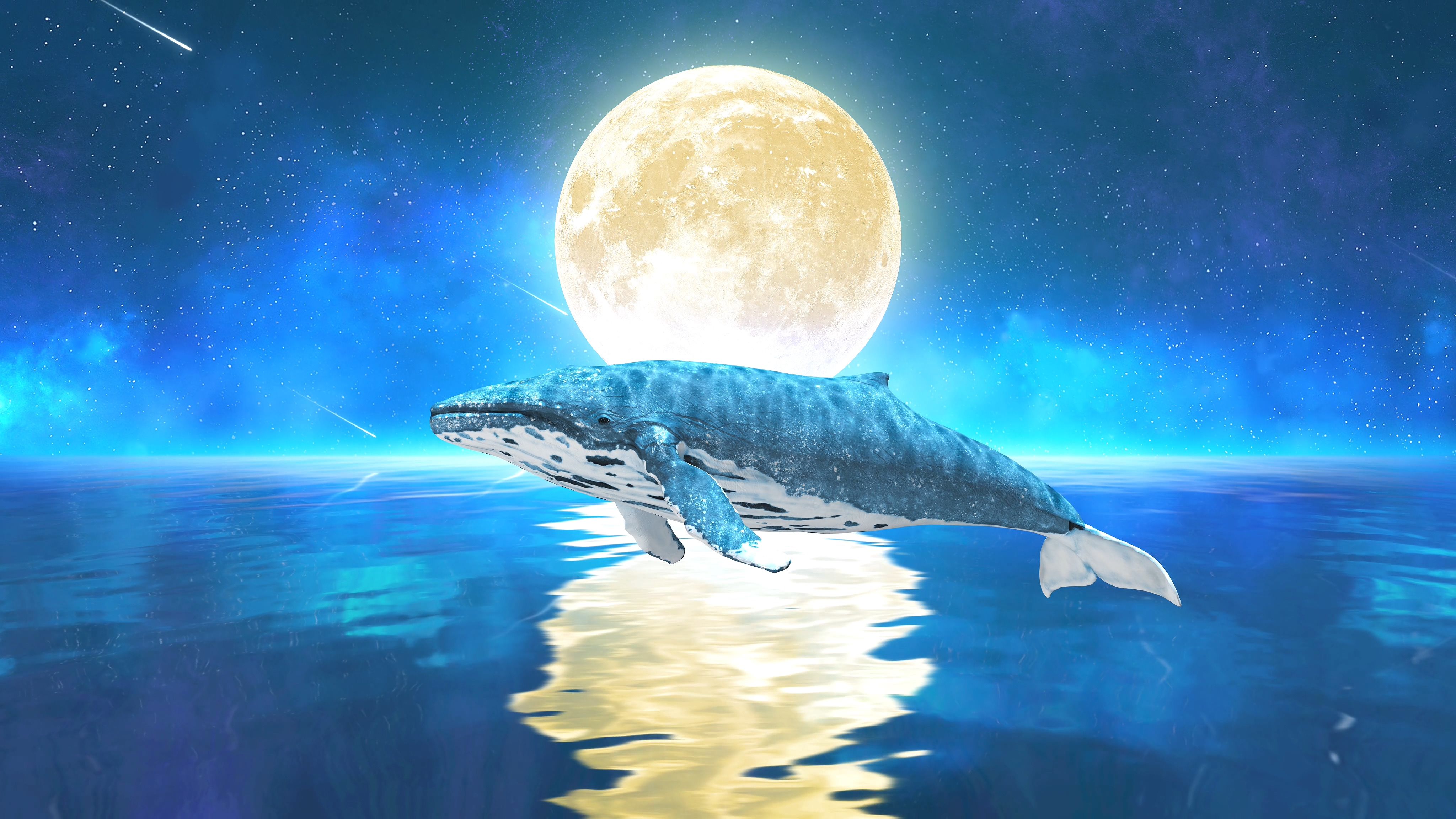 唯美月亮鲸鱼4k(15)-无缝循环