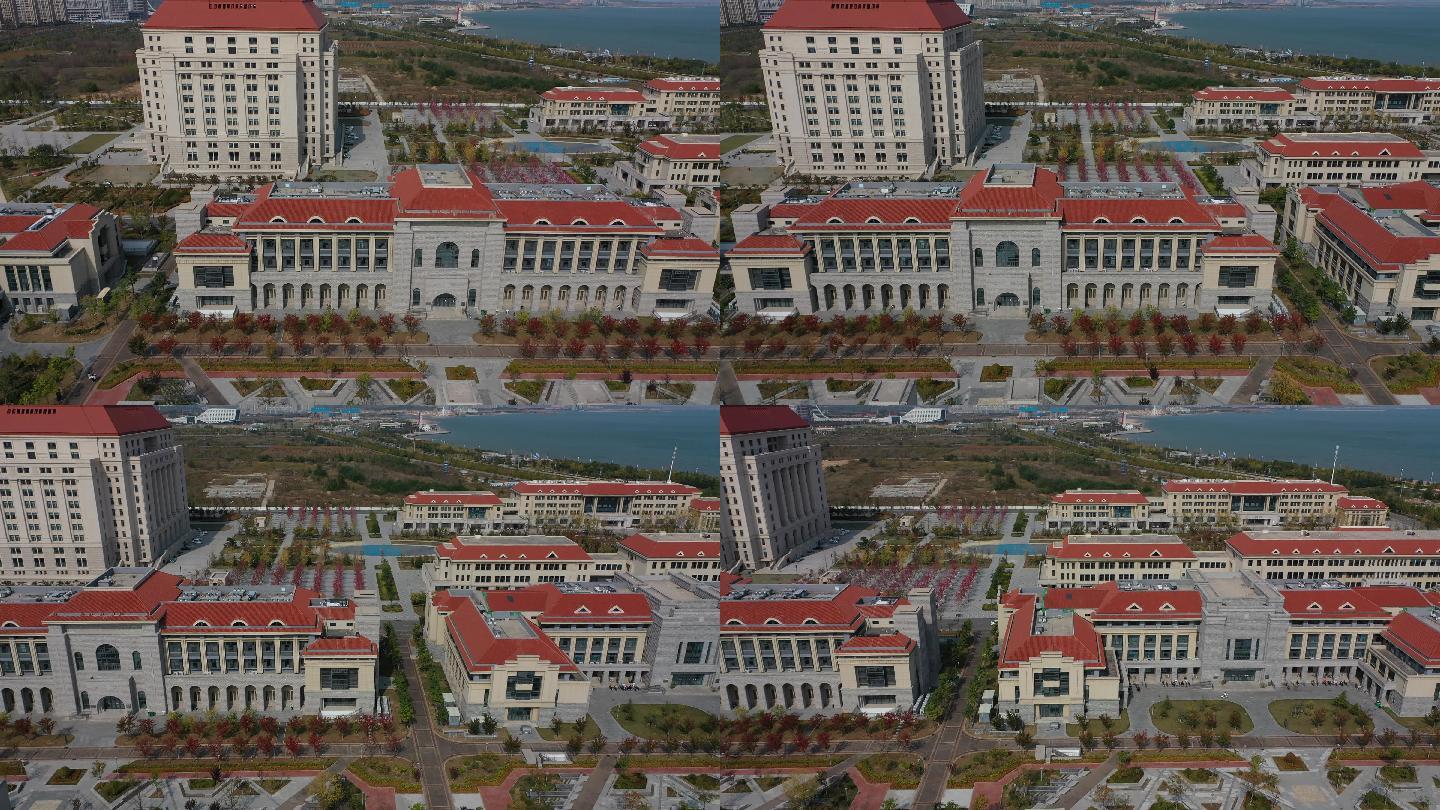 山东大学青岛校区