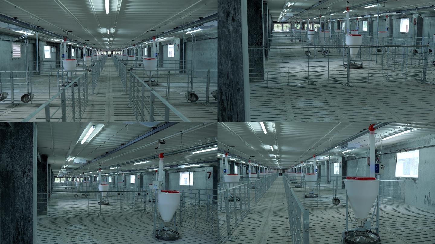 【原创】4k智能化养猪场猪圈环境