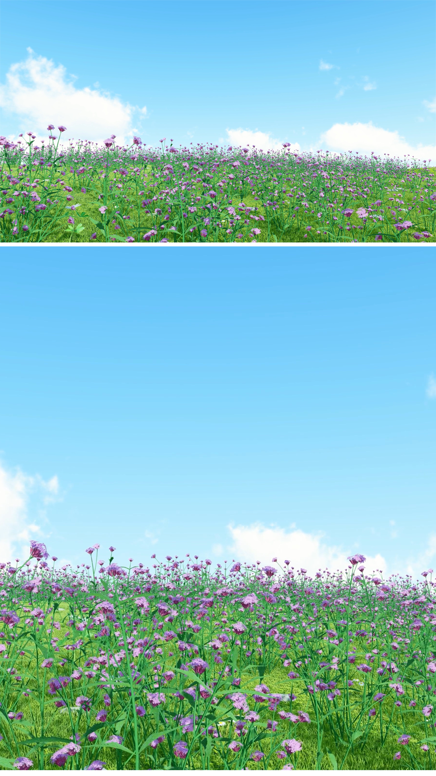 【4k】花海