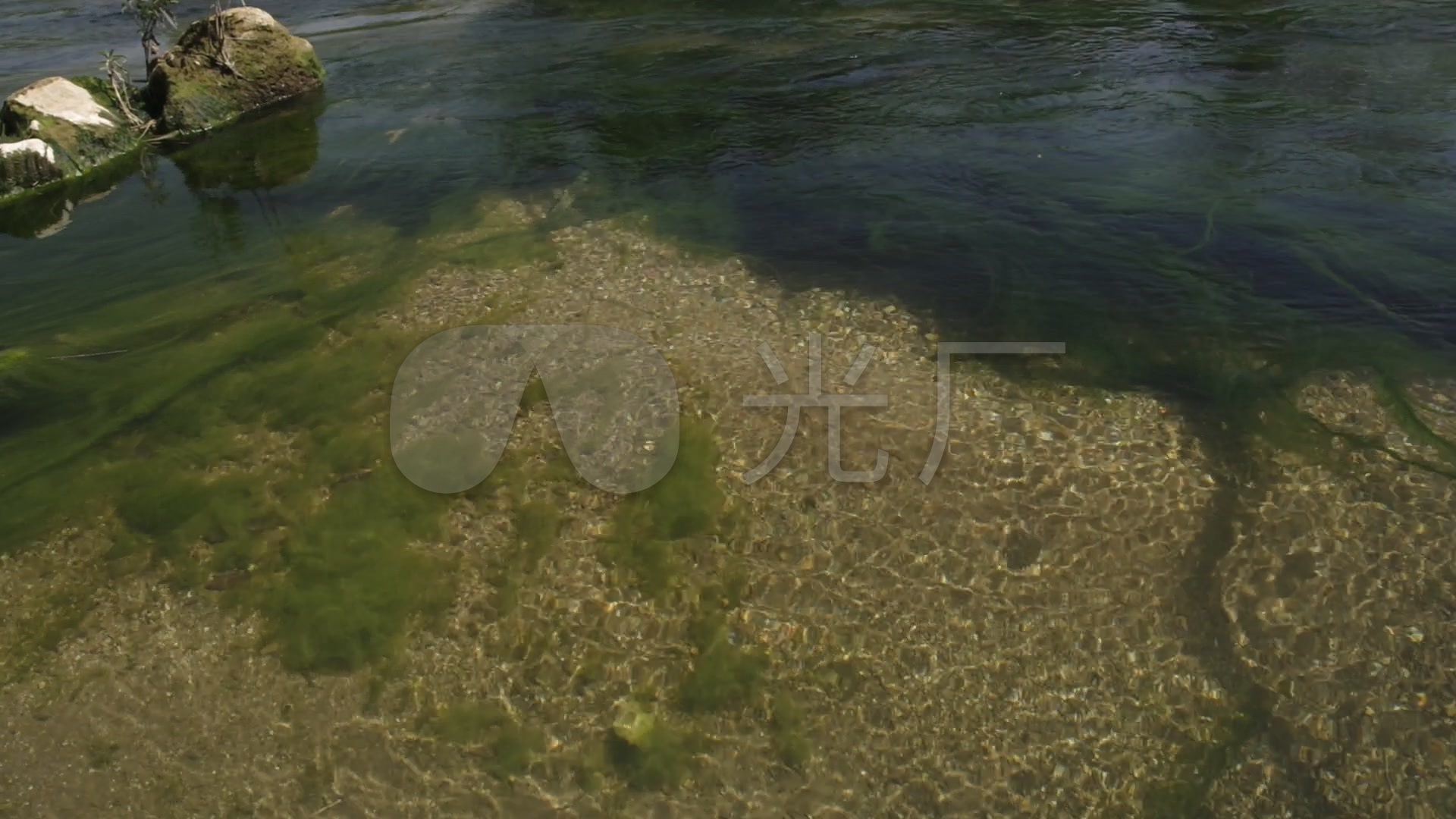 河流小河清澈流水青苔水中青苔_1920x1080_高清视频素材下载(编号