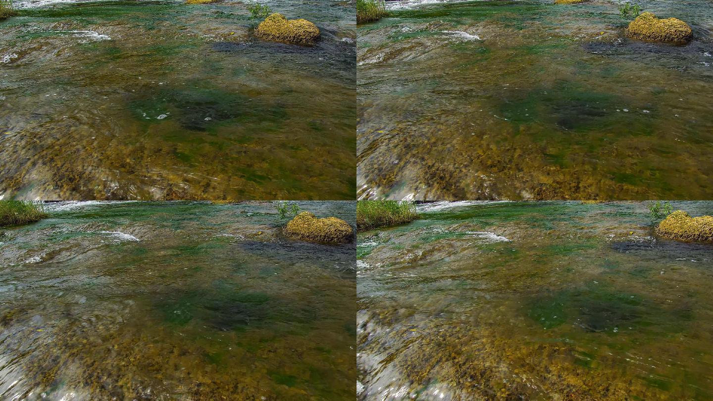 河流溪流流水4k水素材