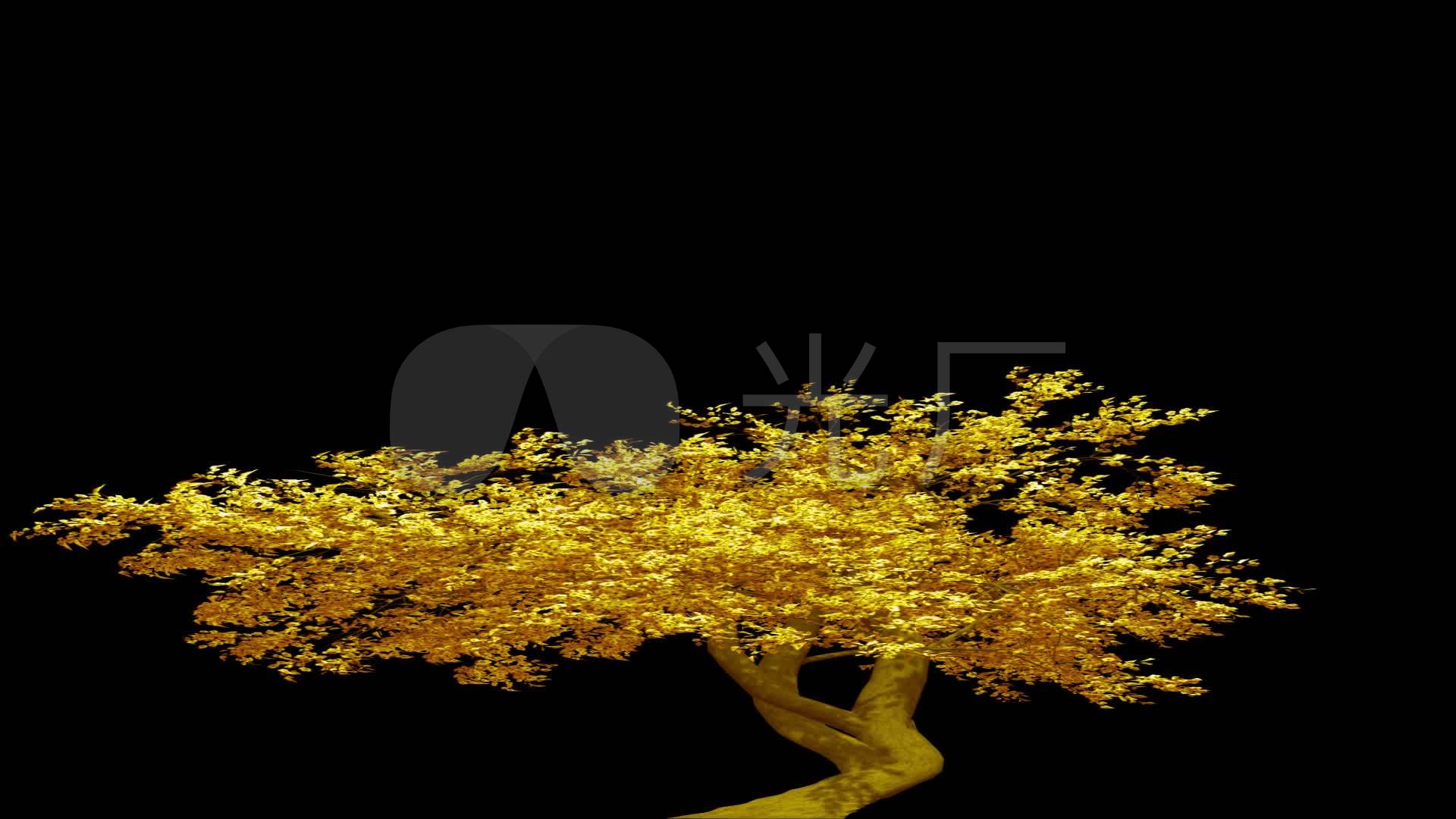 动态黄金树树叶飘动素材