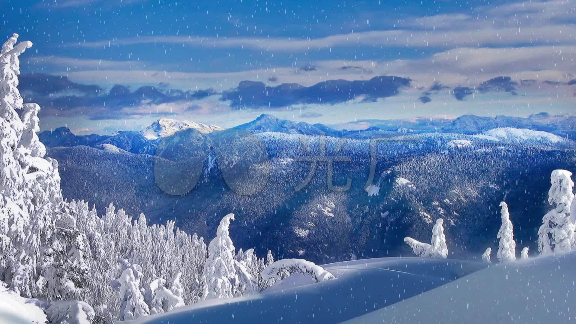 唯美冬季下雪场景雪地冬季雪景led视频