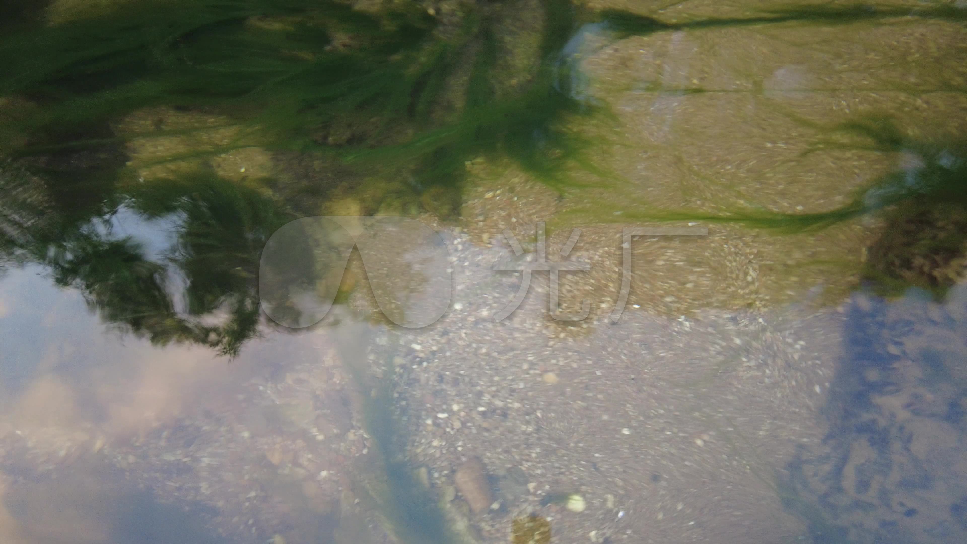 水中青苔_3840x2160_高清视频素材下载(编号:5179004)_实拍视频_vj师